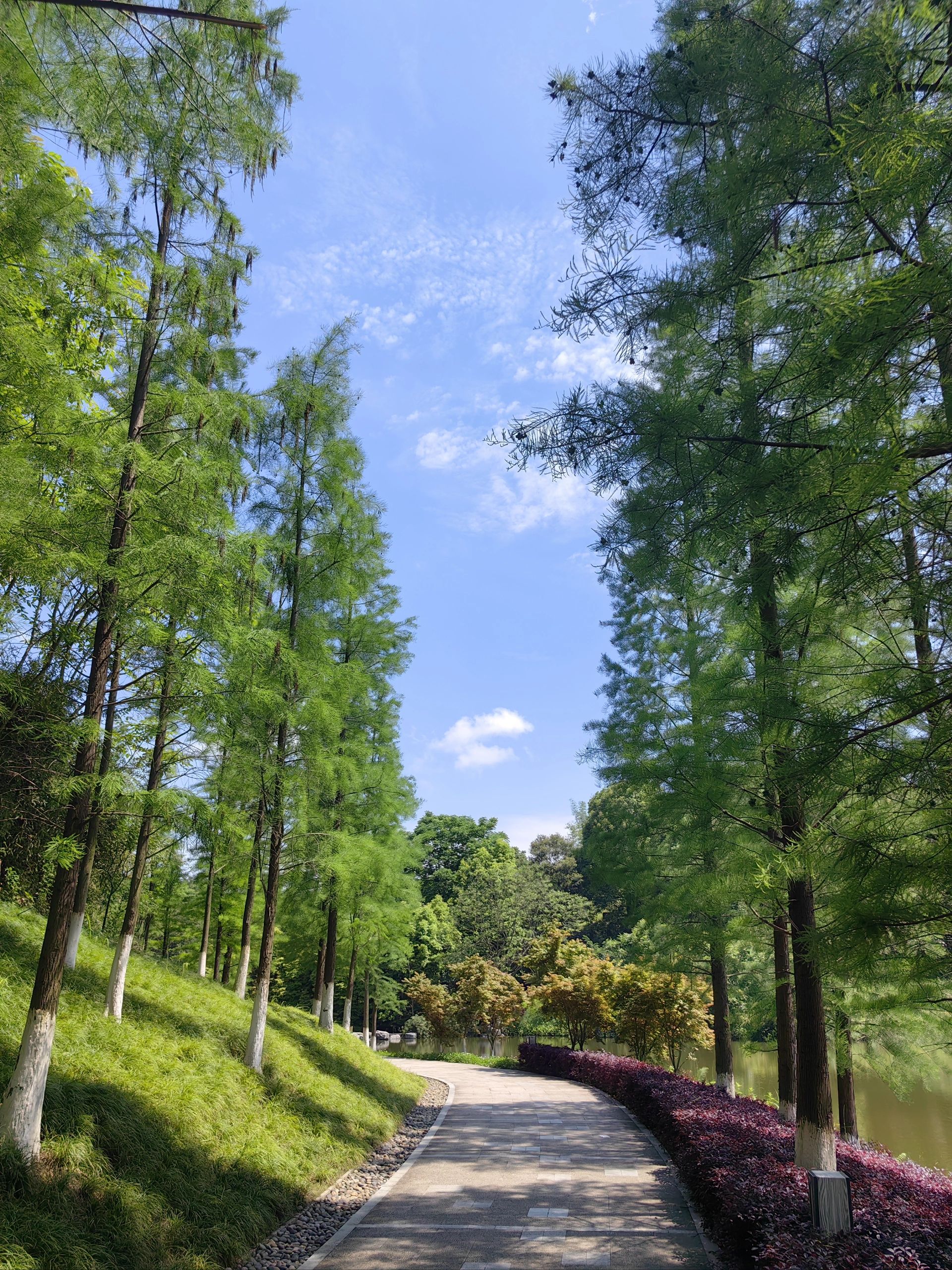 卧龙湖湿地公园旅行图片 3