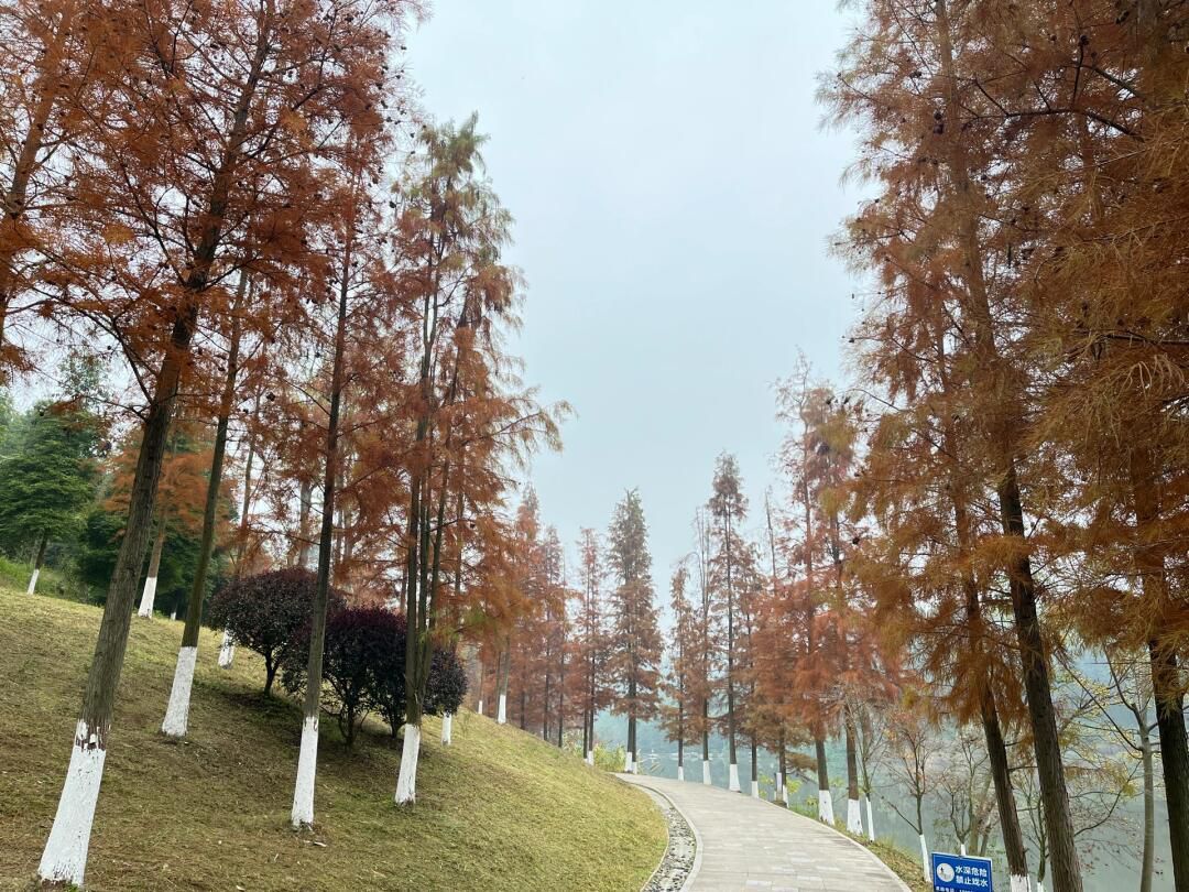卧龙湖湿地公园旅行图片 1