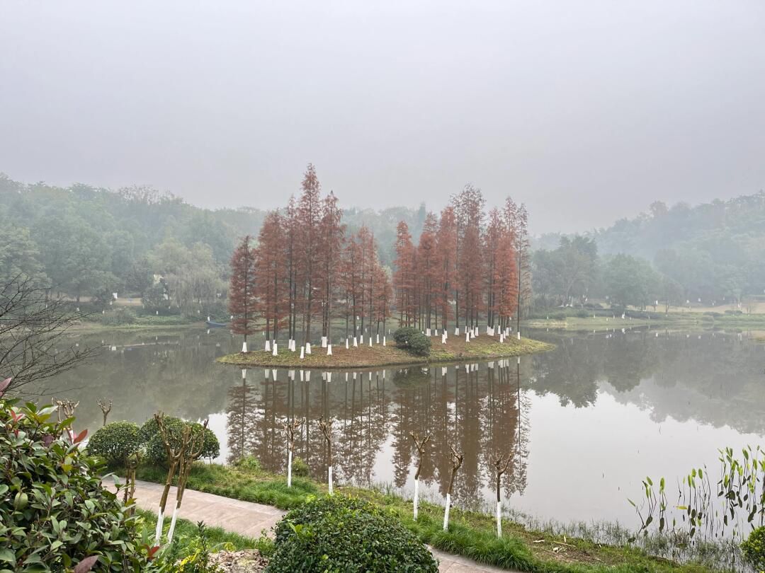 卧龙湖湿地公园旅行图片 2