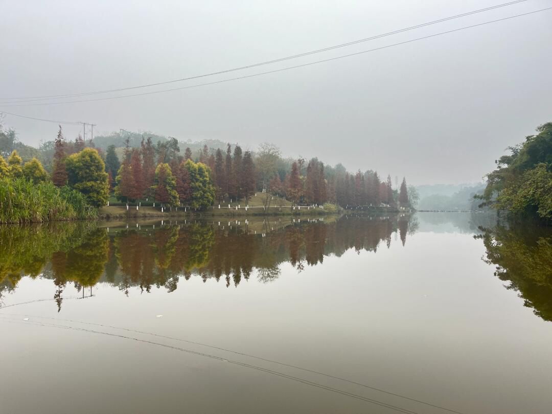 卧龙湖湿地公园旅行图片 3