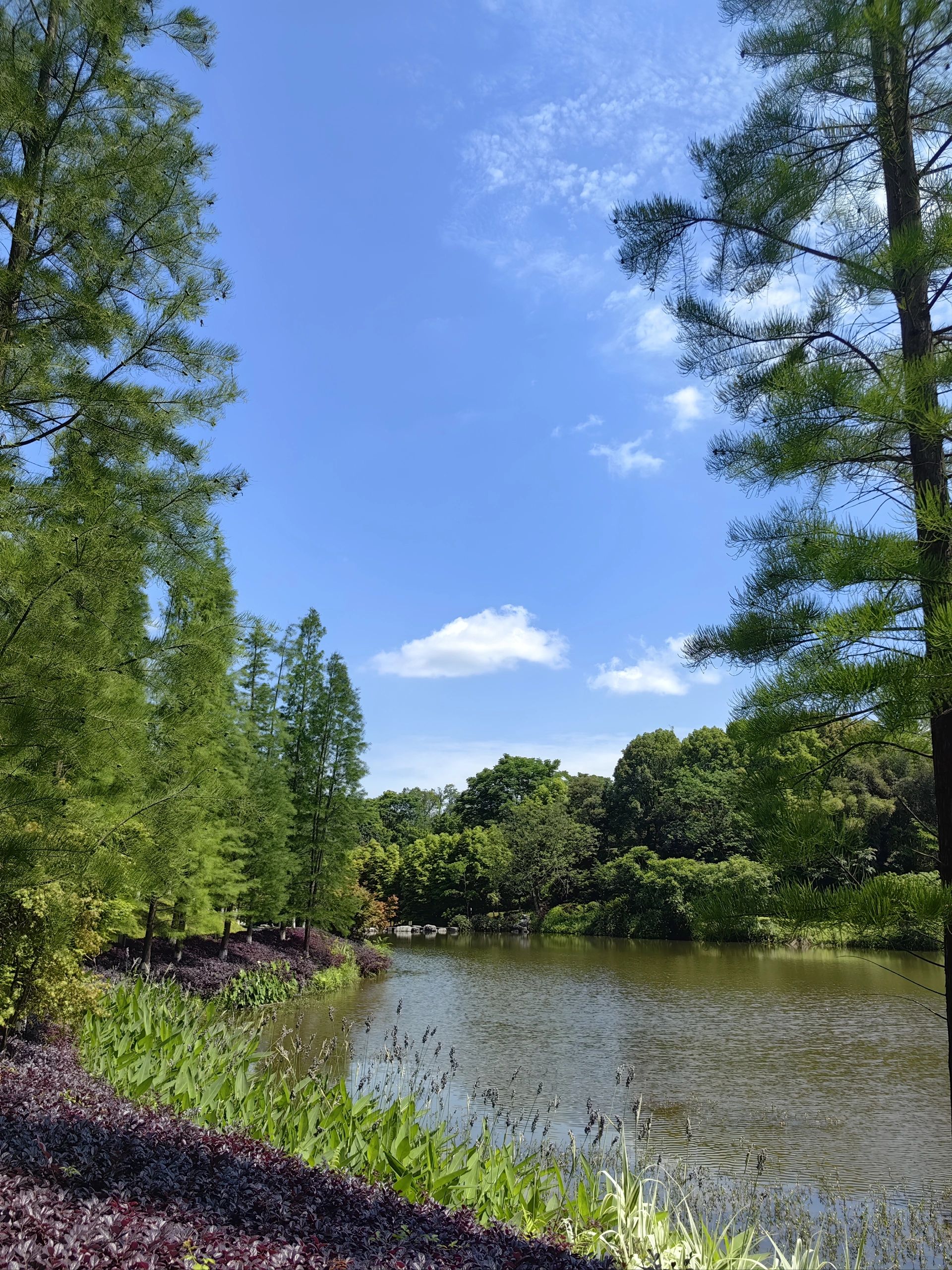 卧龙湖湿地公园旅行图片 1