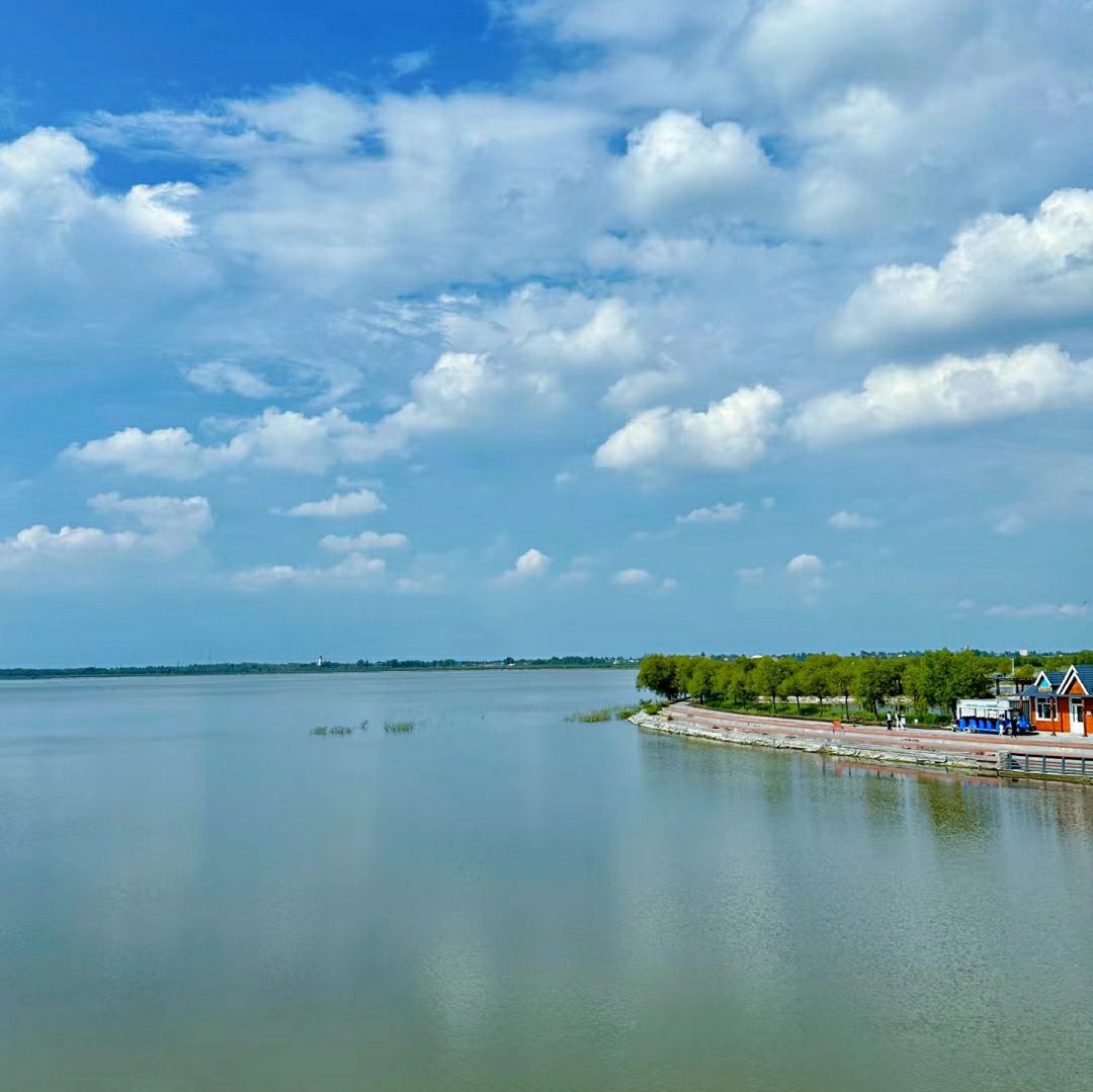 卧龙湖湿地公园旅行图片 3