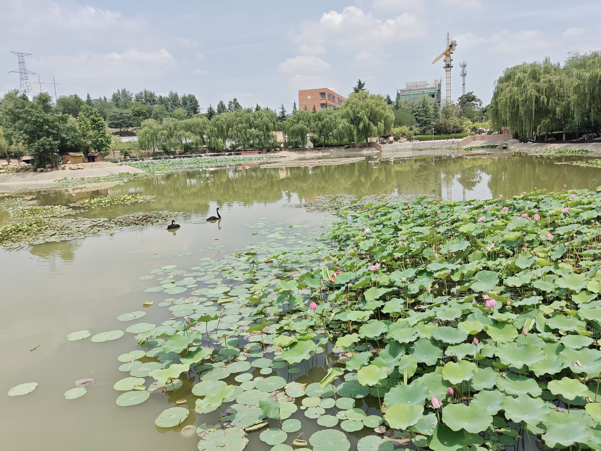 莽山公园
