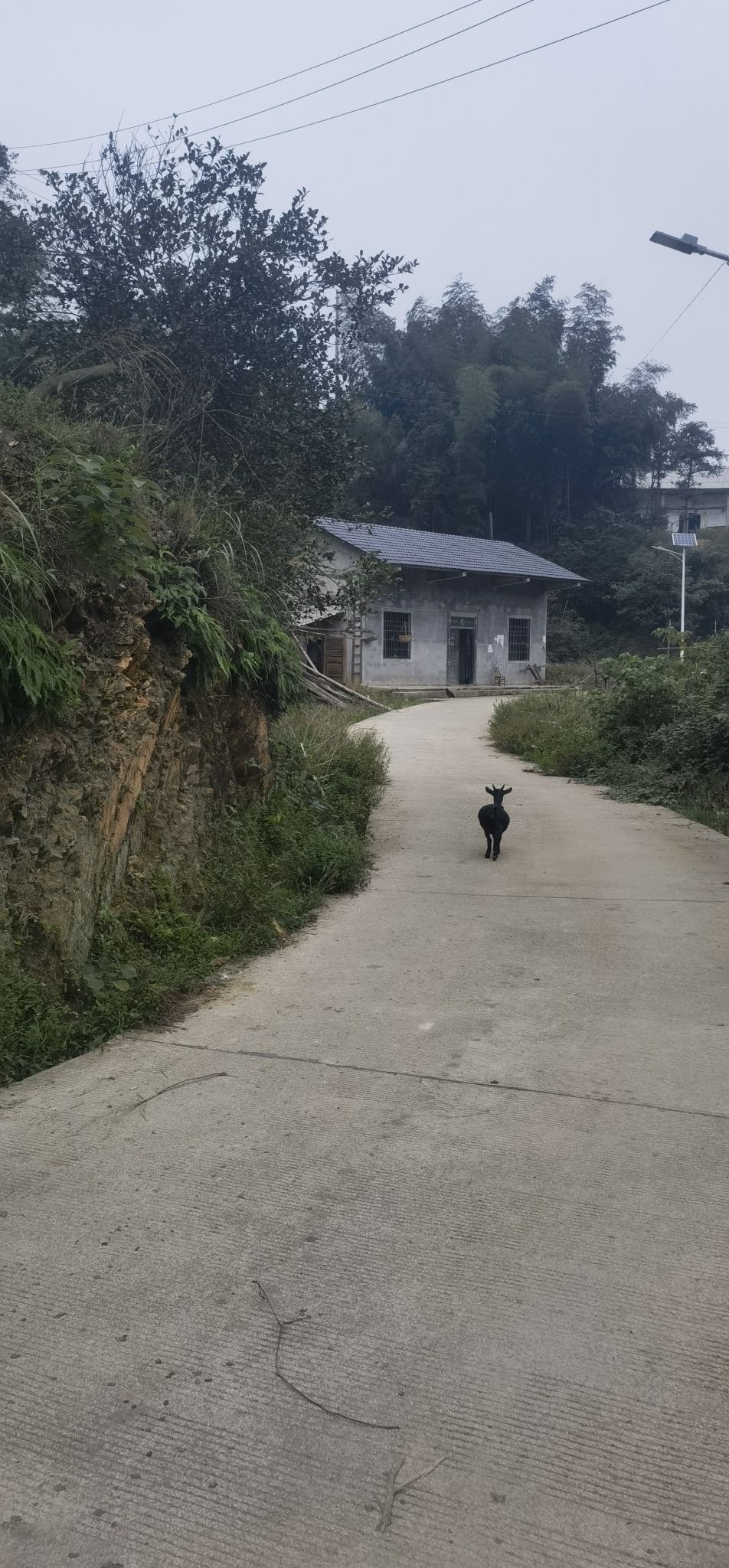 顶峰聚峰楼旅行图片 3