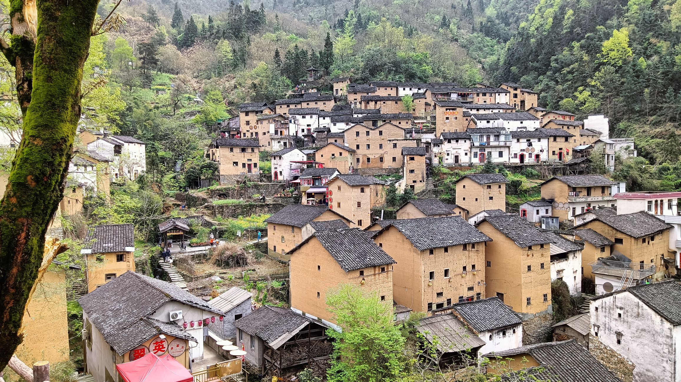 阳产土楼旅行图片 2