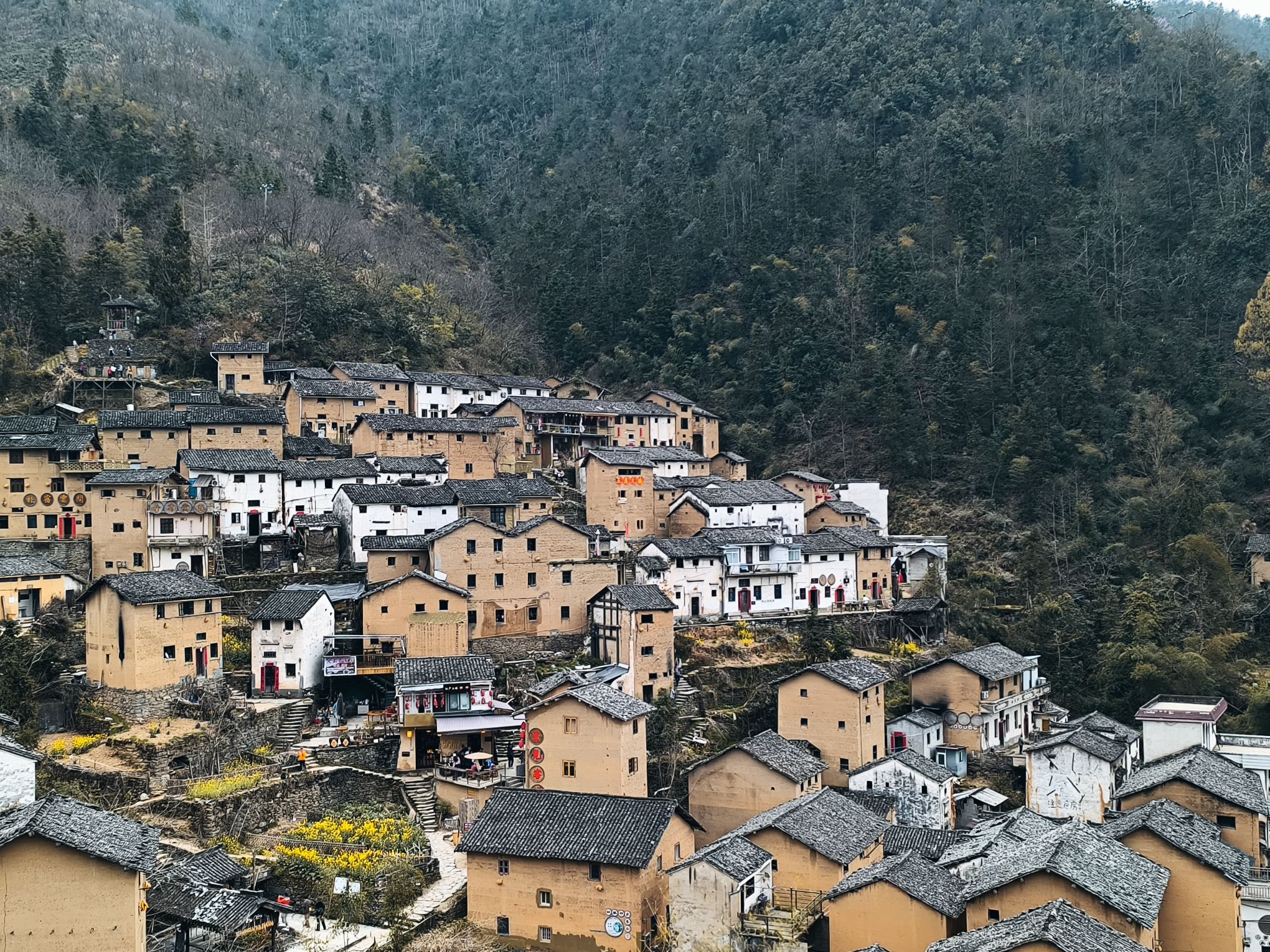 阳产土楼旅行图片 3