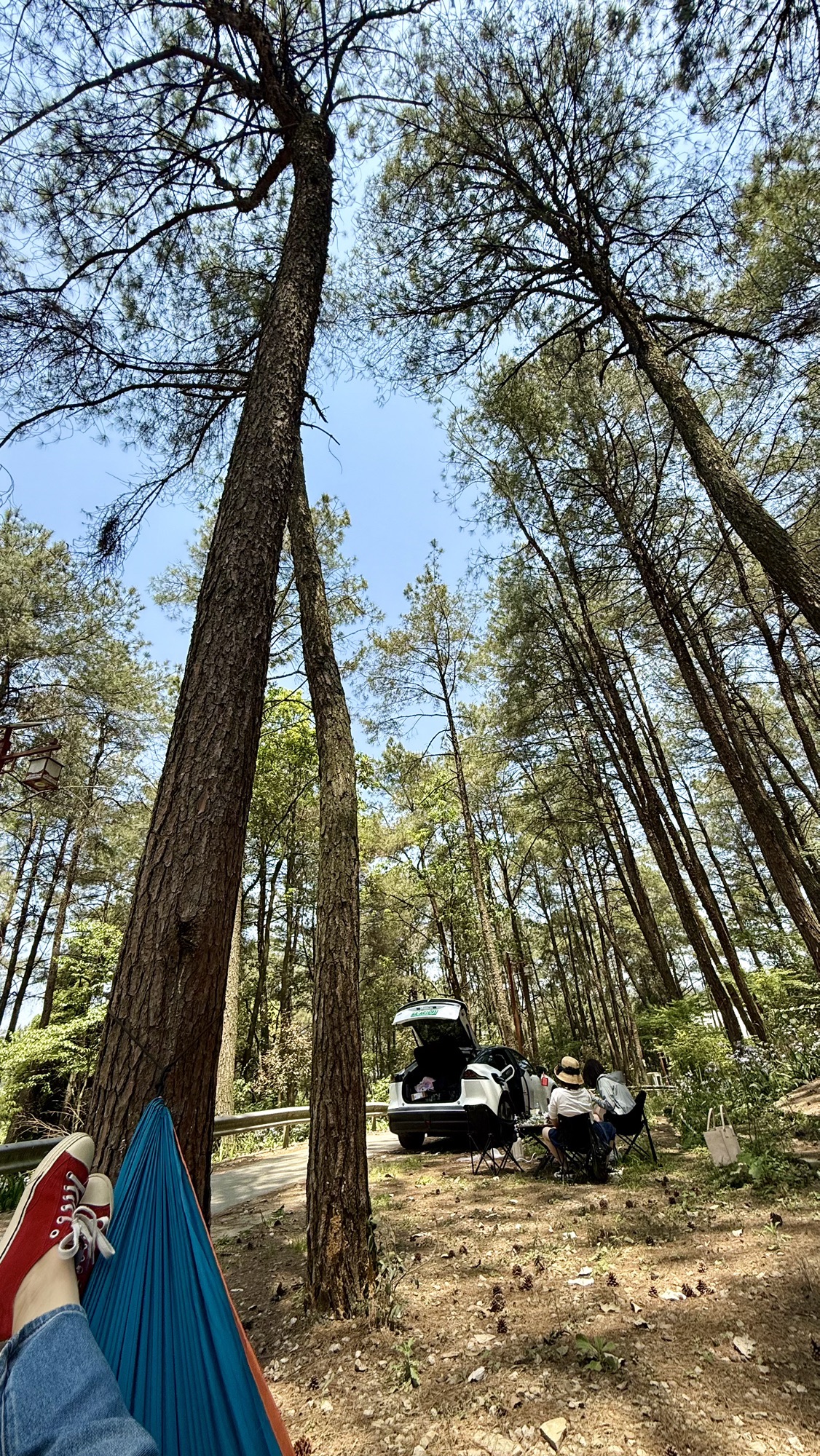 场地封面-金刀岭·嗨森营地