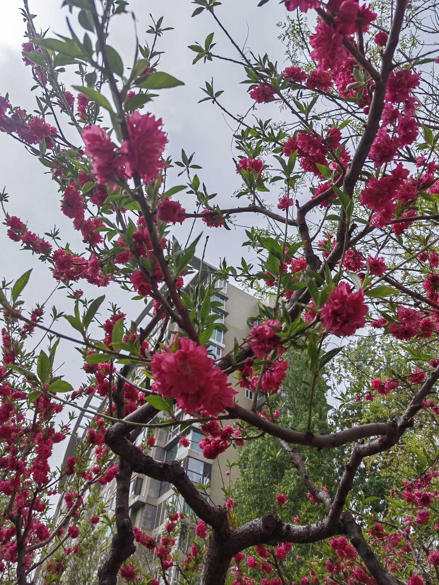 车道沟公园旅行图片 3