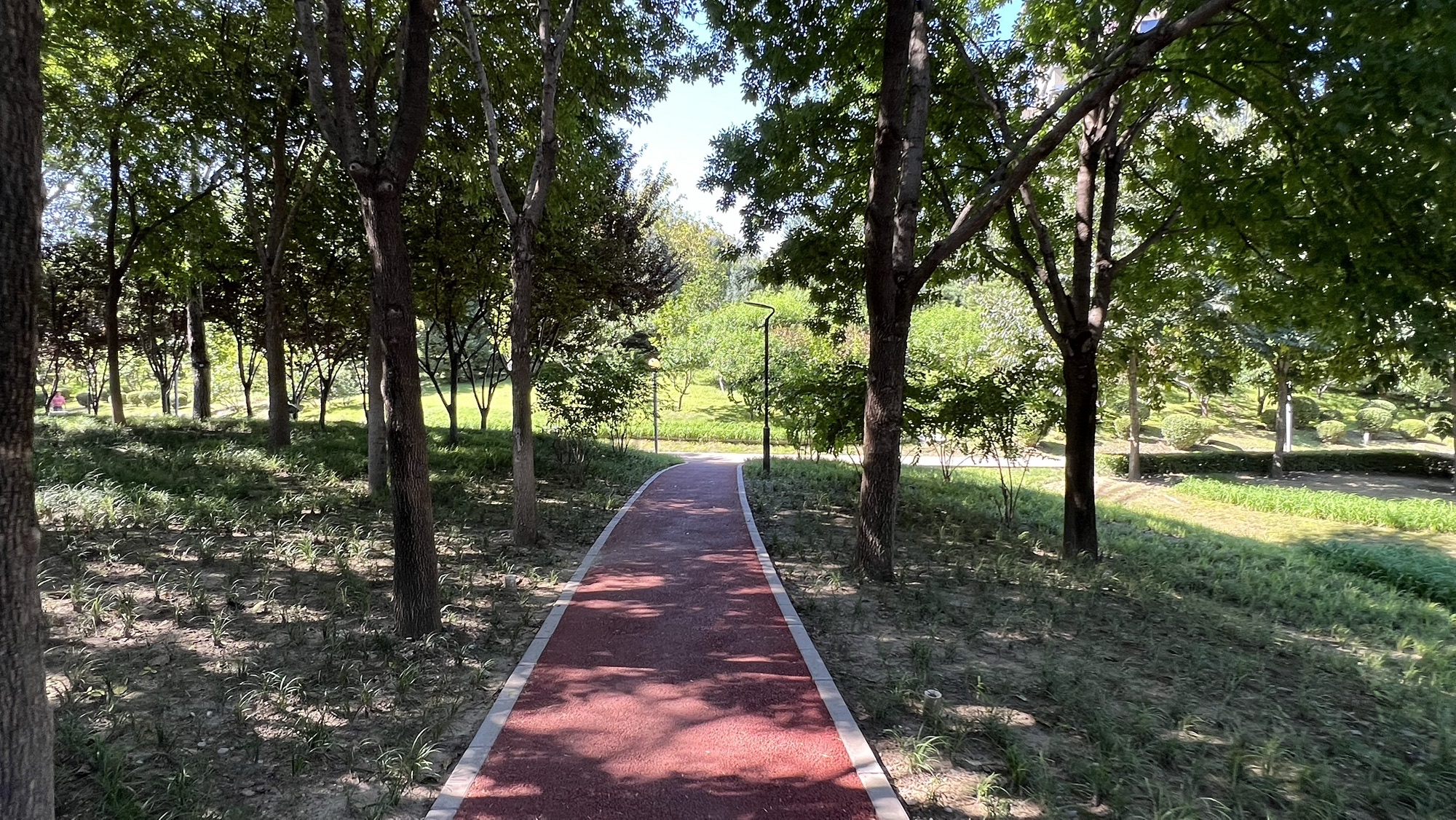 车道沟公园旅行图片 2