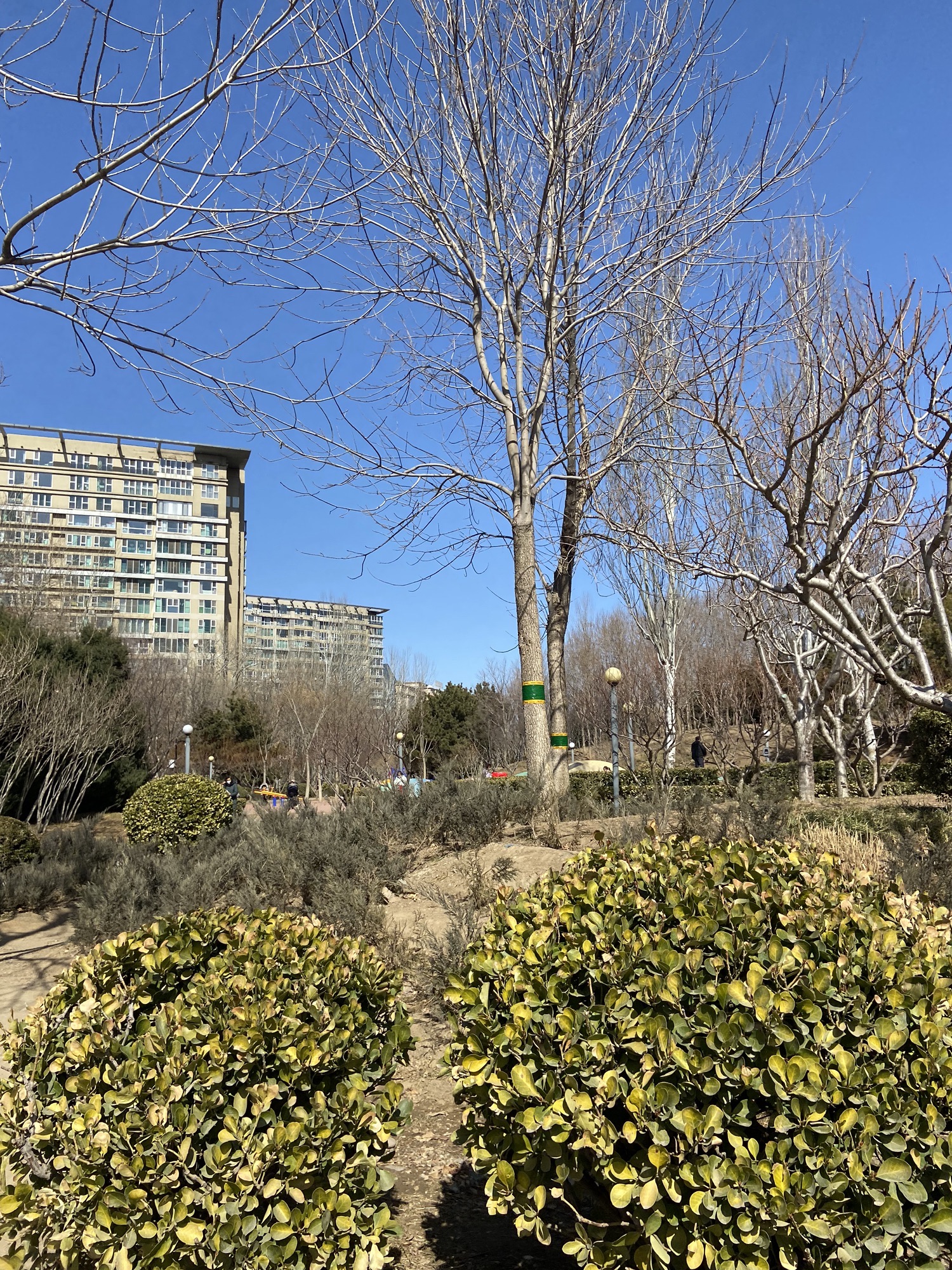 车道沟公园旅行图片 3