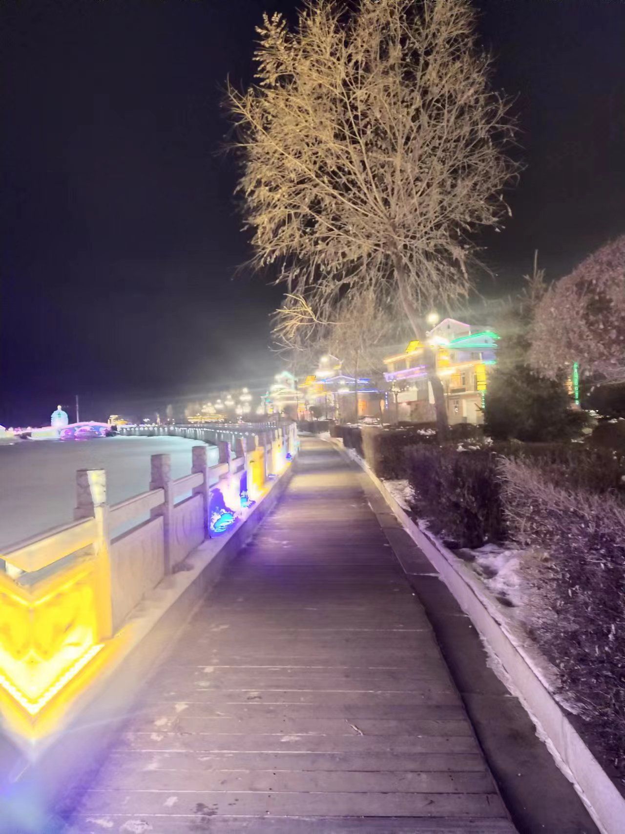 固奇谷国家湿地公园旅行图片 3