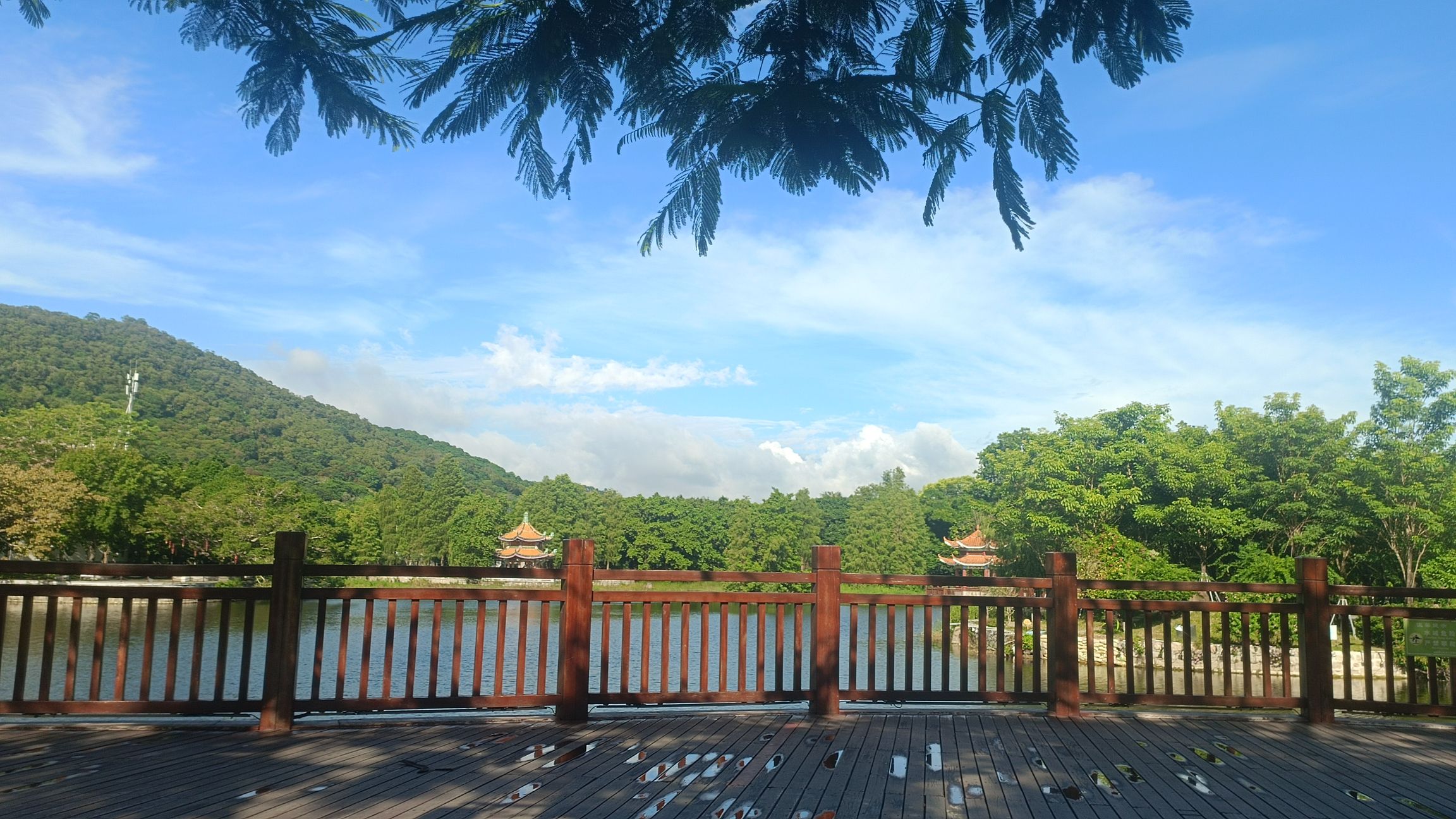 粤东一璧旅行图片 3