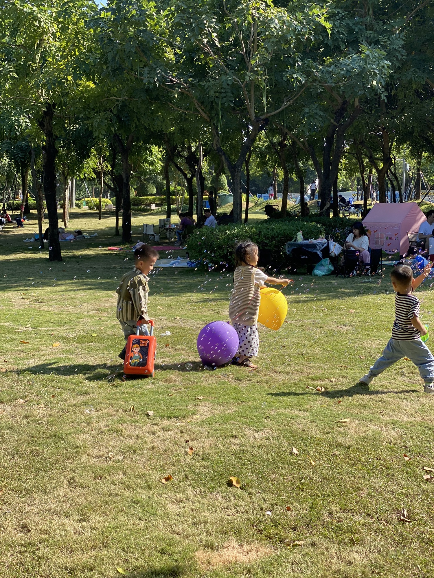北郊公园旅行图片 2