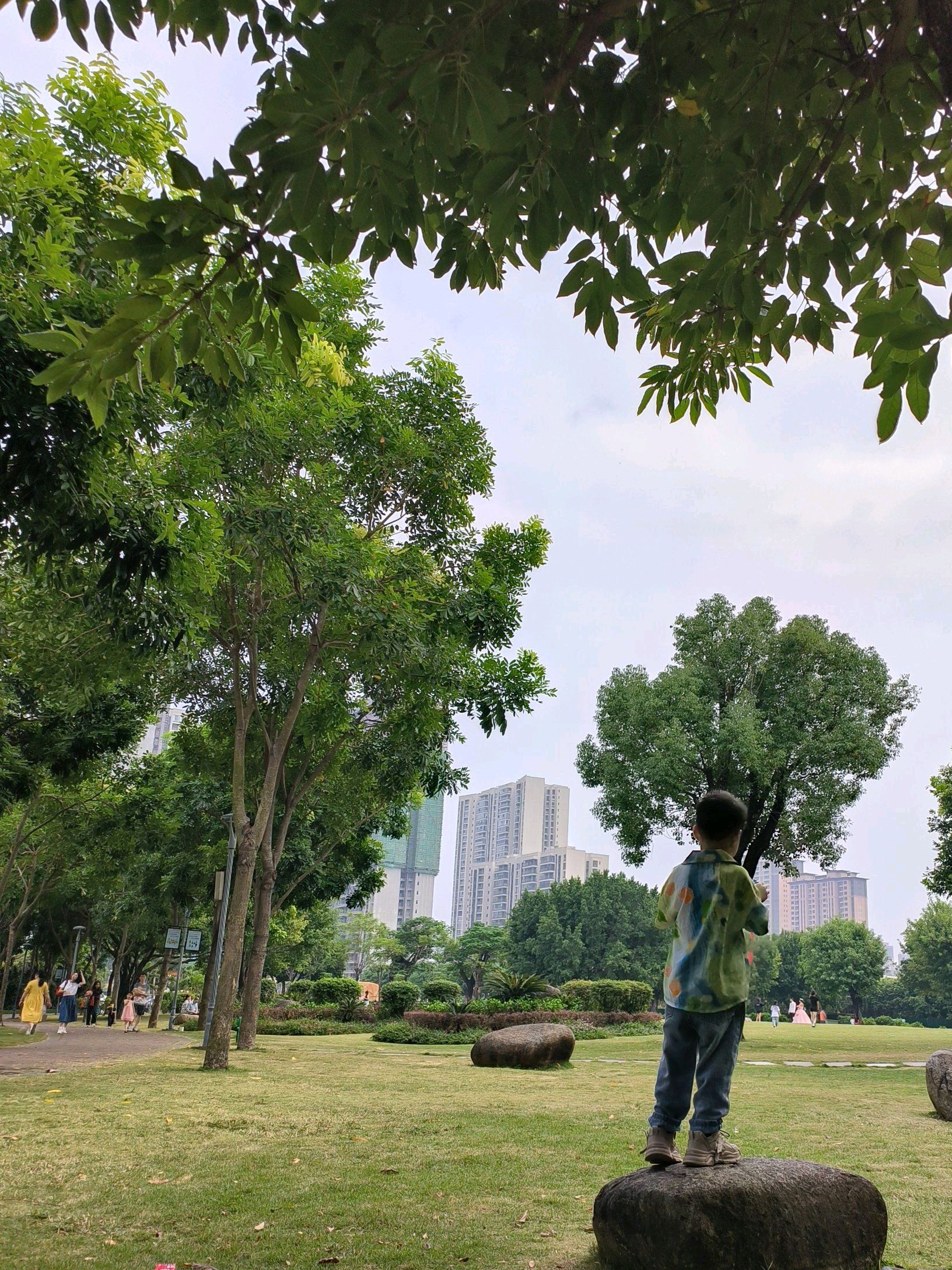 北郊公园旅行图片 3
