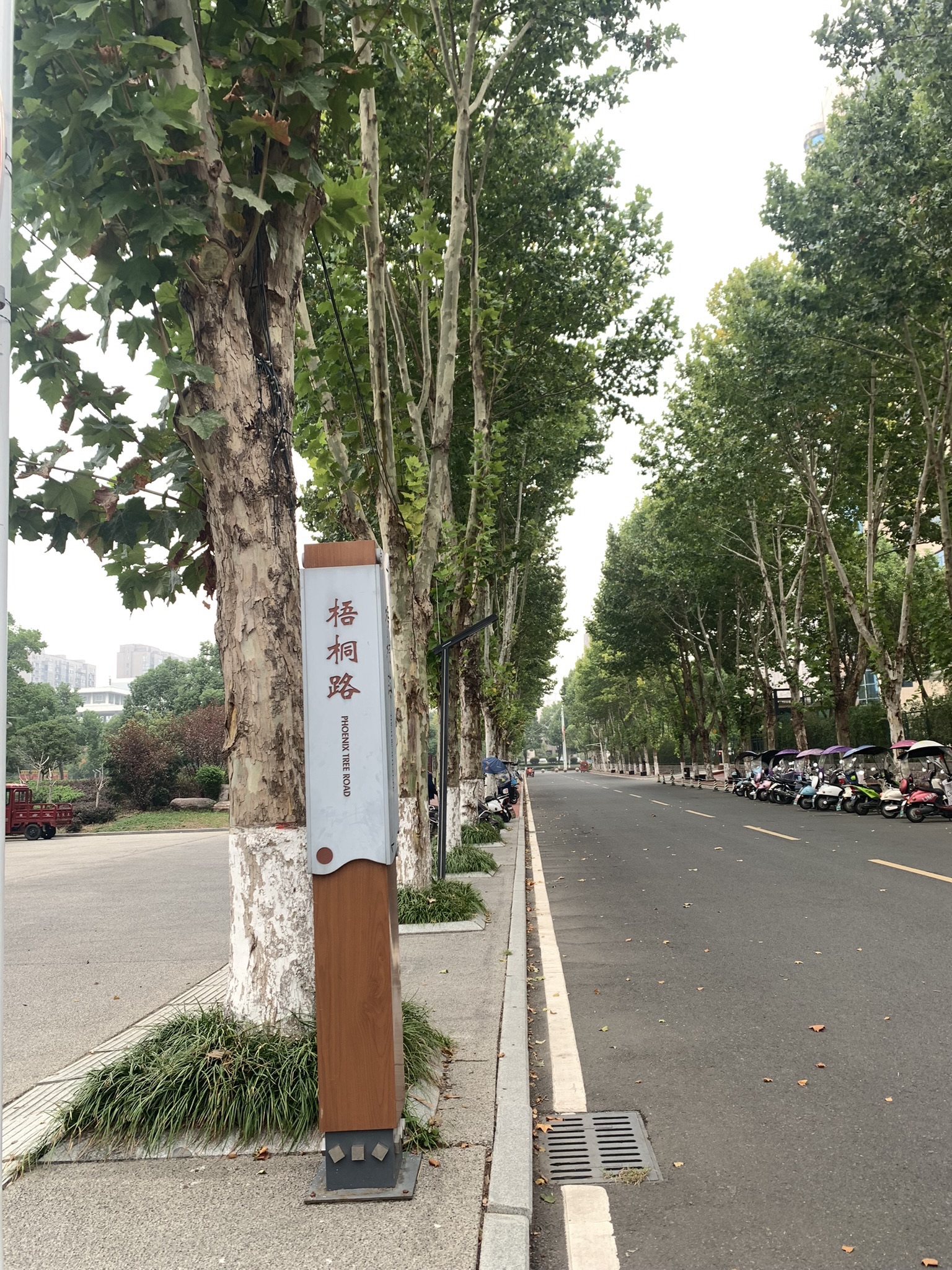 根亲文化公园旅行图片 1