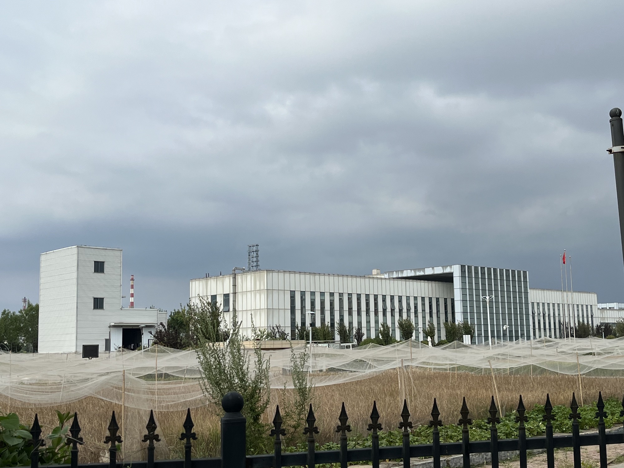 白泥地公园旅行图片 2