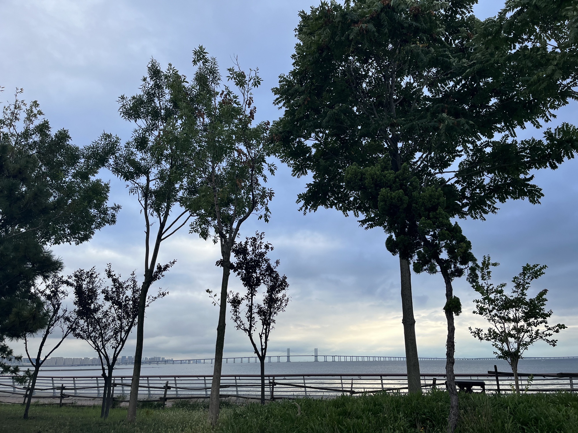 白泥地公园旅行图片 1