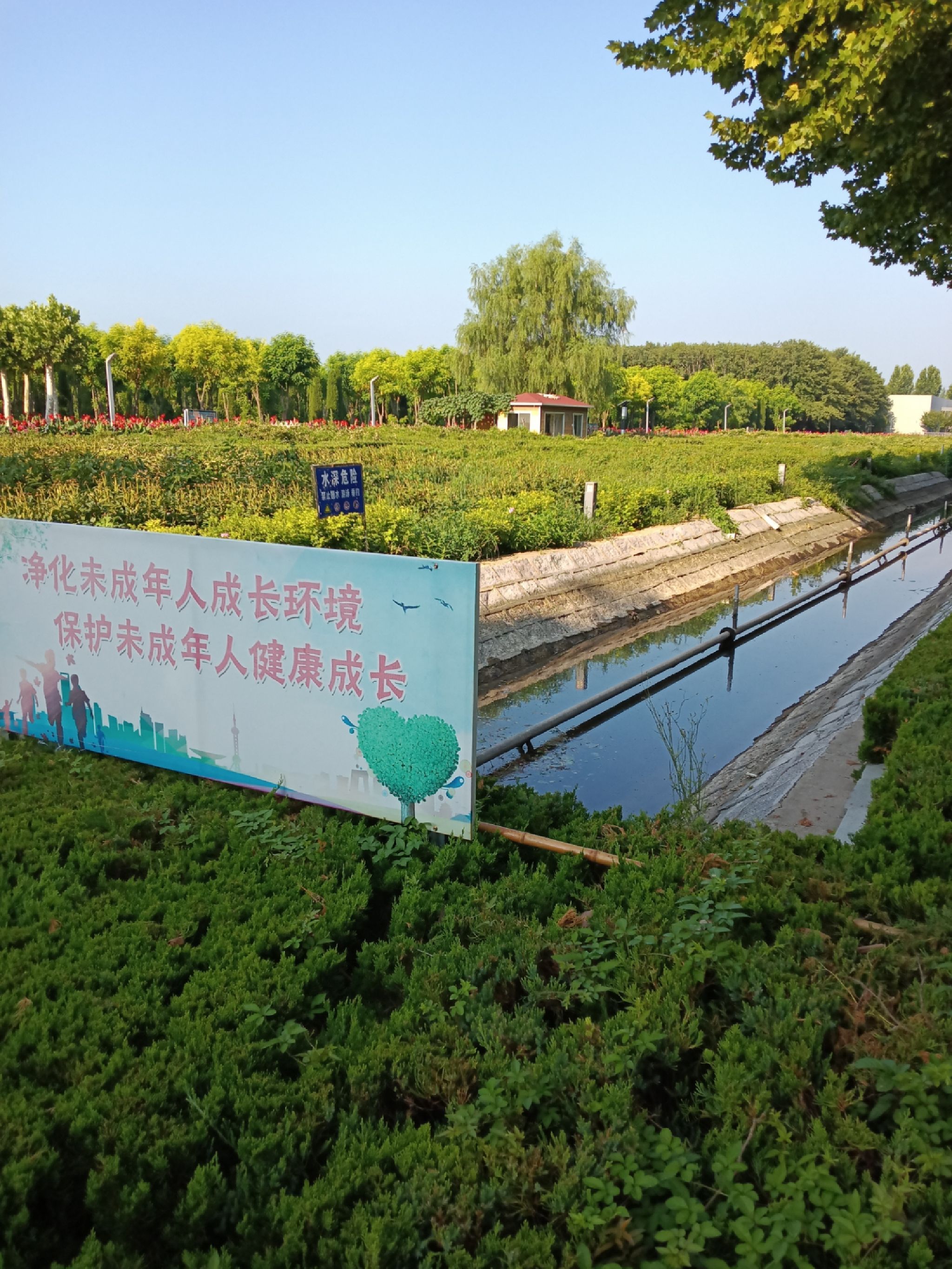 马桥植物园旅行图片 2