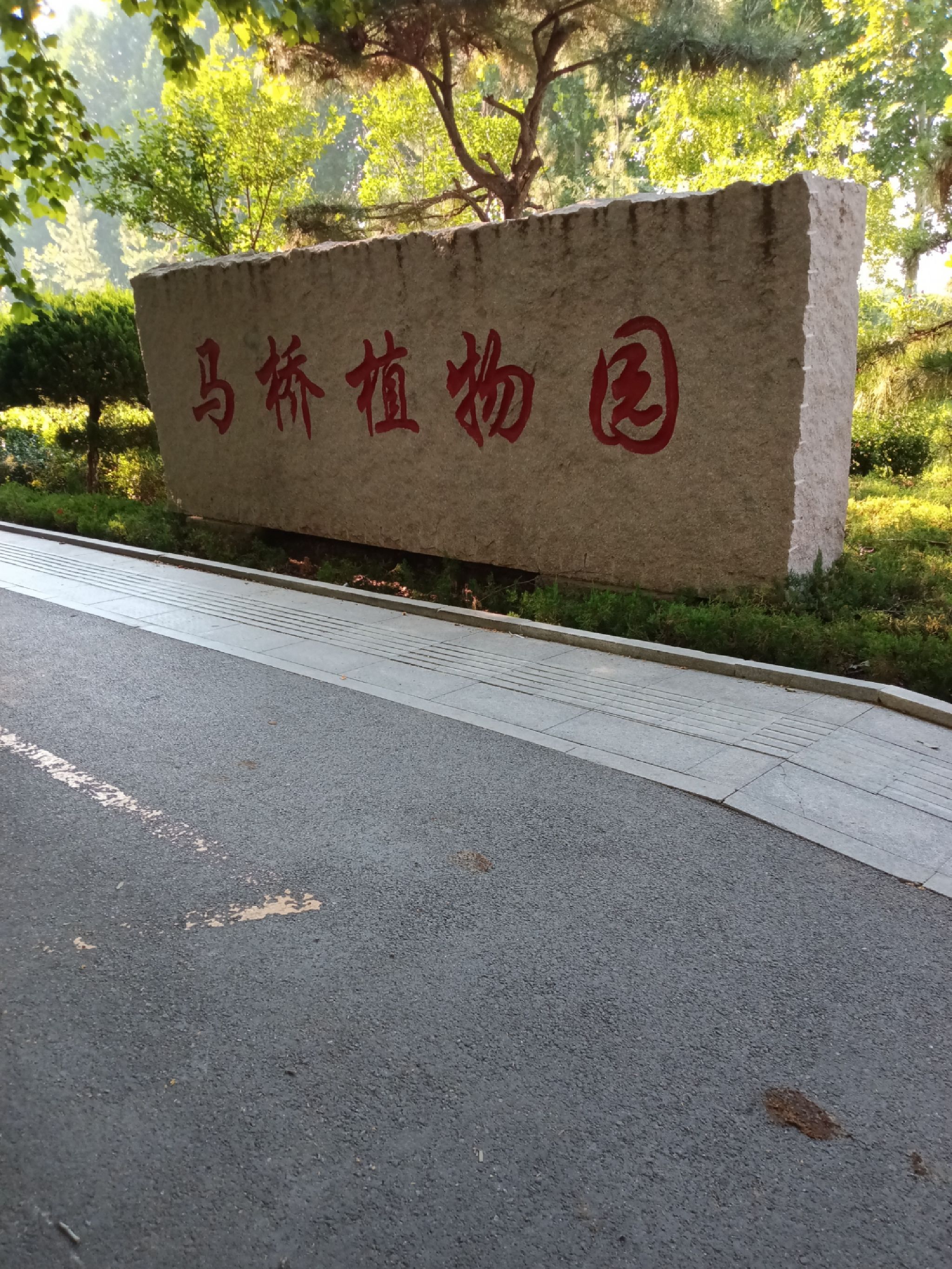 马桥植物园旅行图片 1