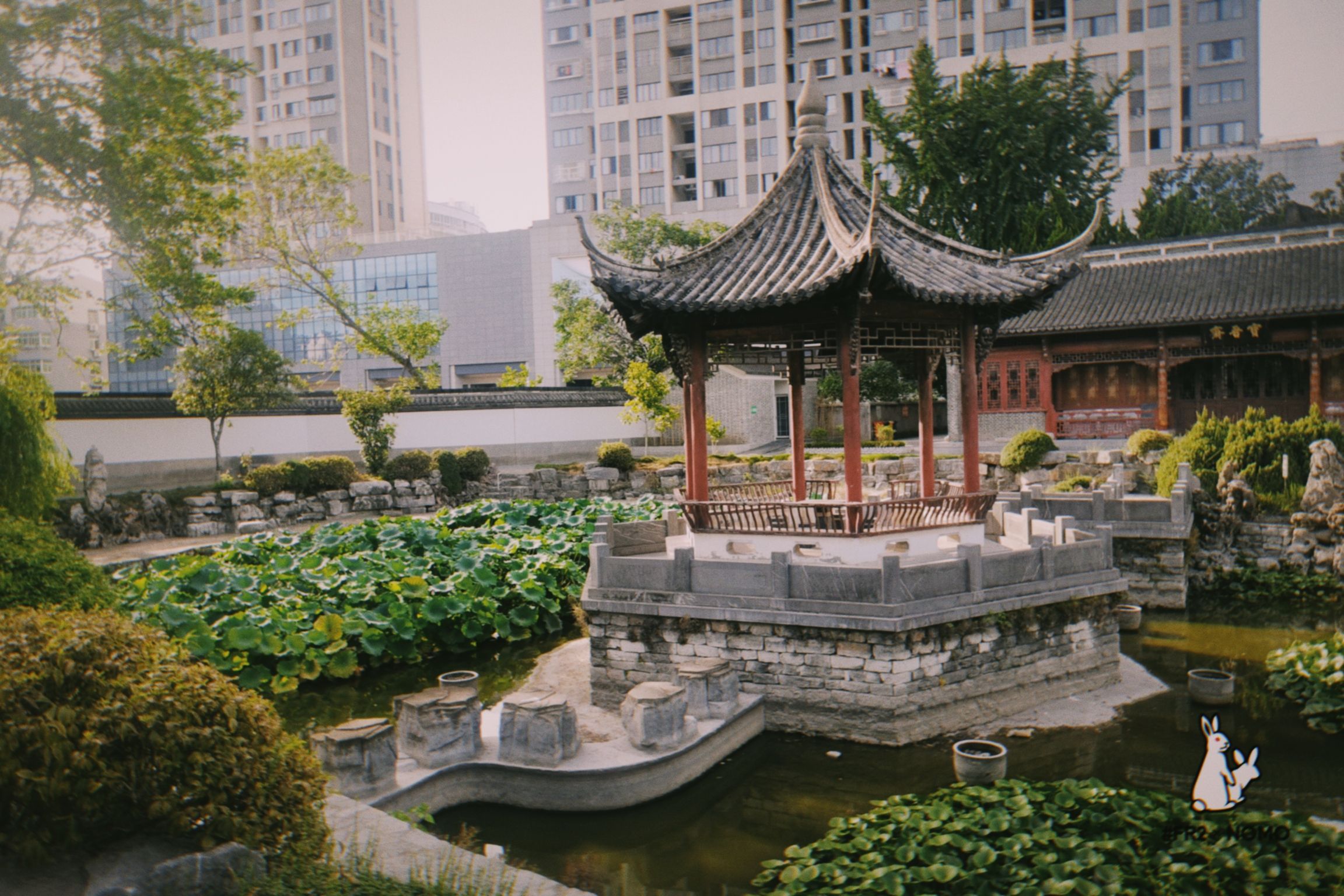 米公祠旅行图片 3