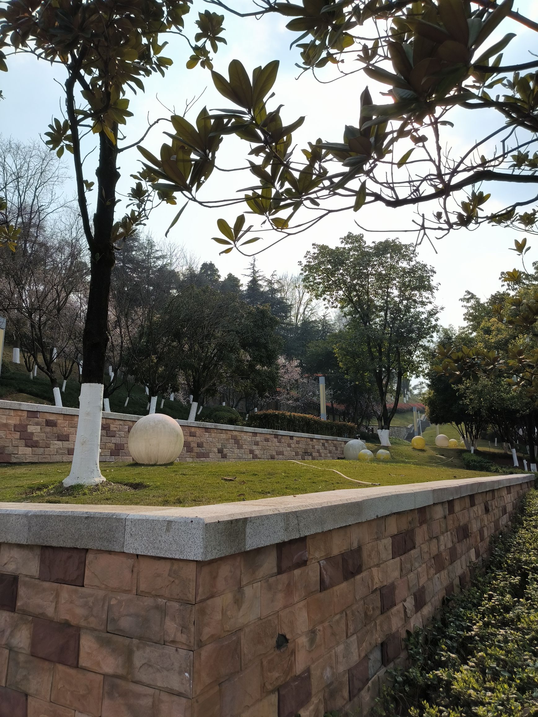 西城公园旅行图片 2