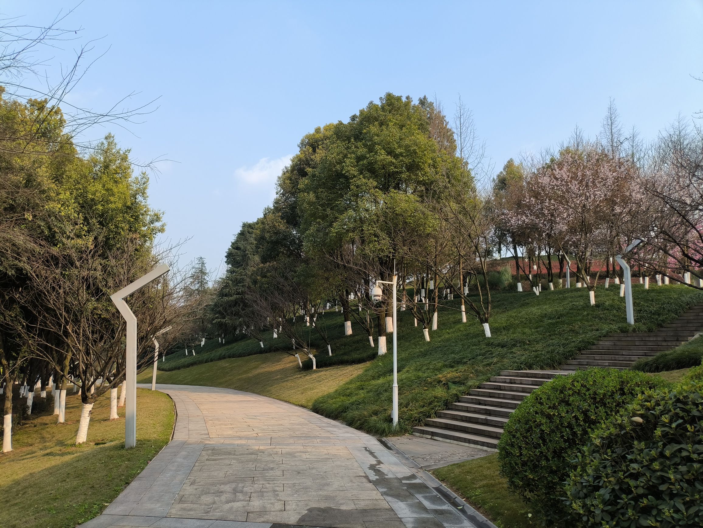 西城公园旅行图片 3