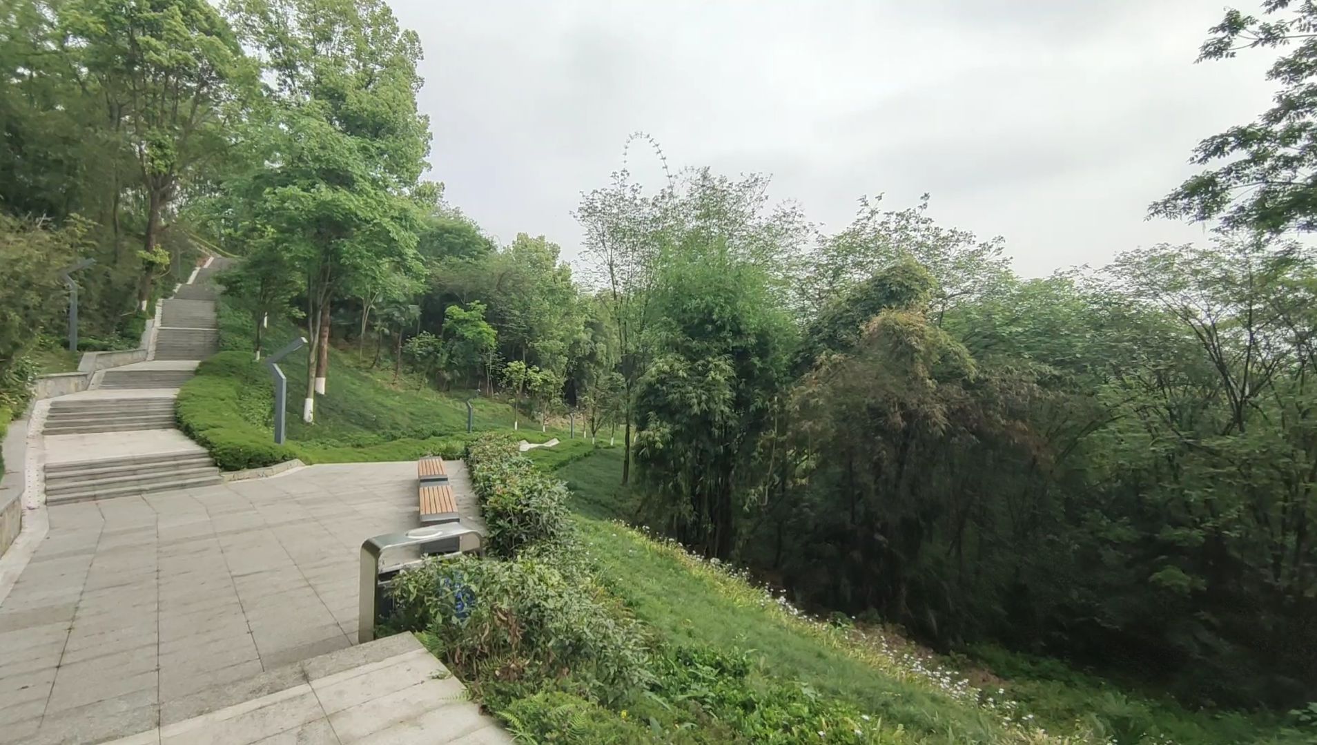 西城公园旅行图片 2