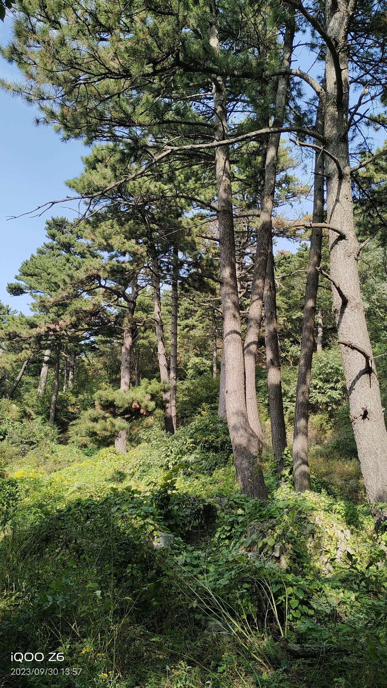 千家寨景区旅行图片 2