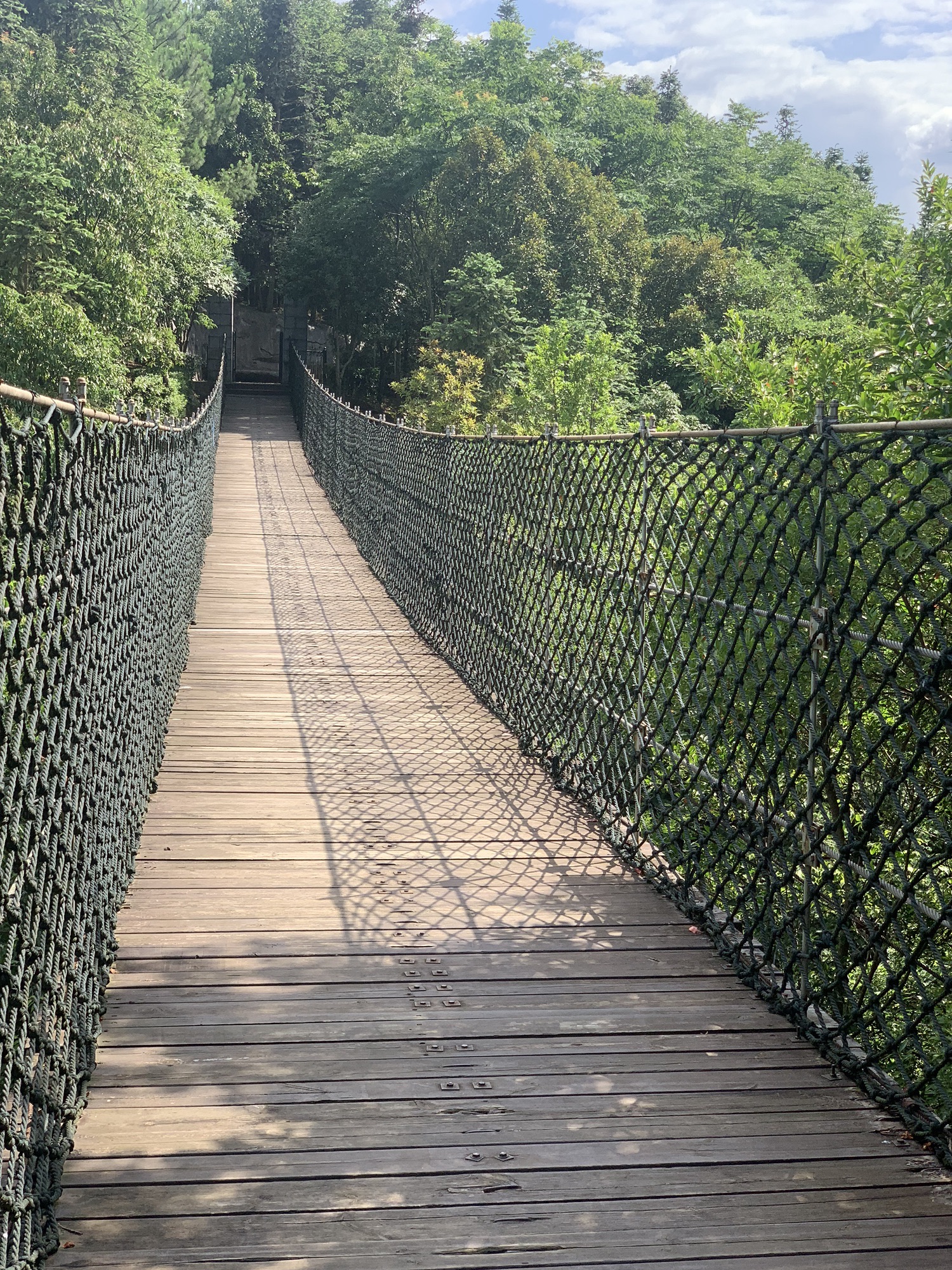 泰来公园旅行图片 2