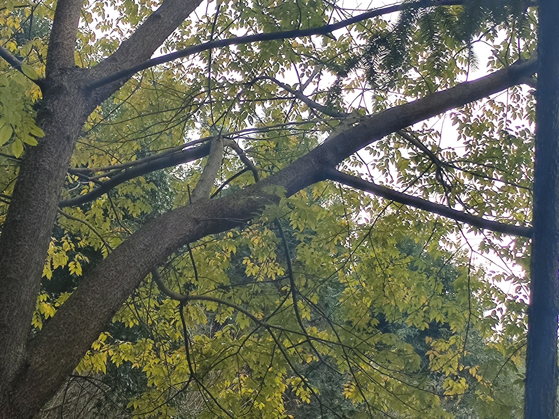 泰来公园旅行图片 2