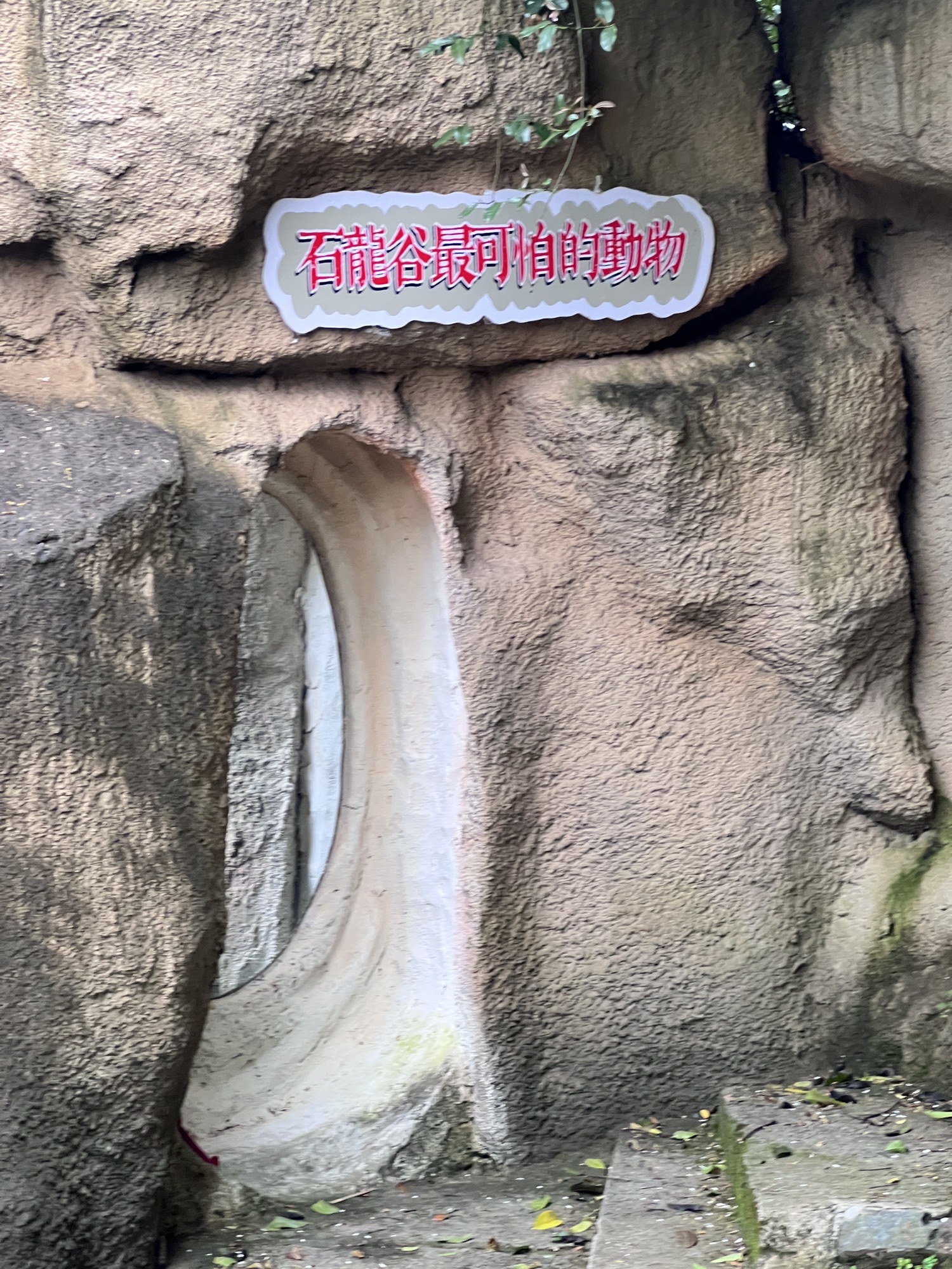 泉州市石龙谷森林公园旅行图片 2