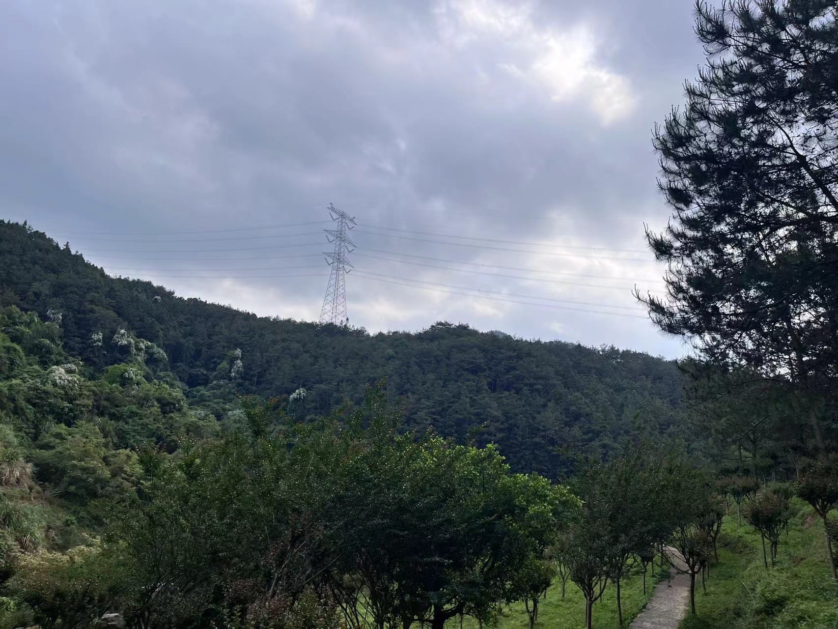 泉州市石龙谷森林公园旅行图片 3