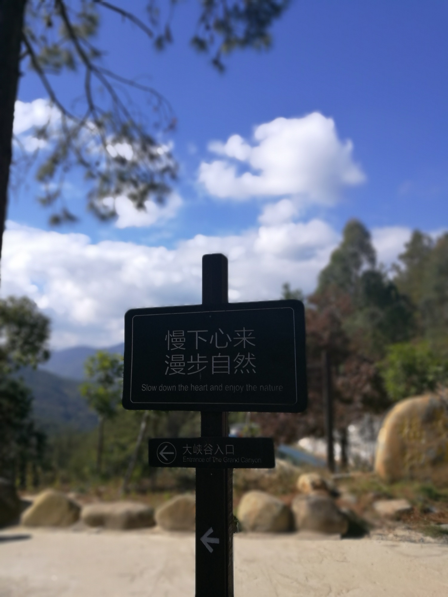泉州市石龙谷森林公园旅行图片 1