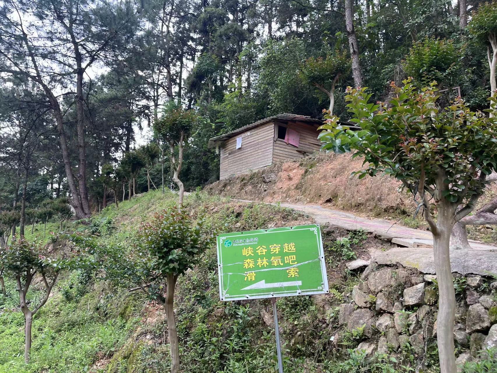 泉州市石龙谷森林公园旅行图片 1