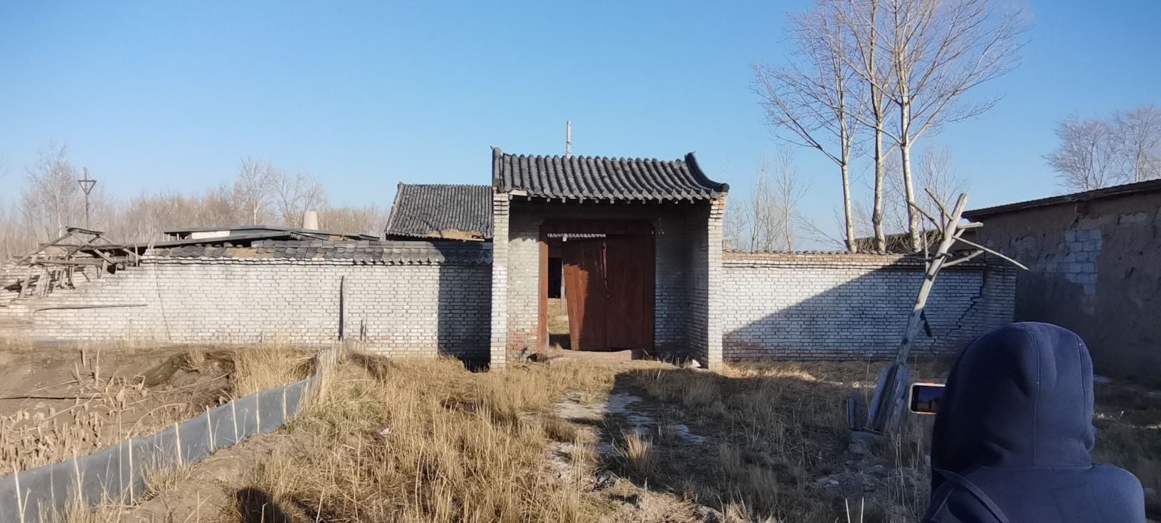 青谷子影视基地旅行图片 3