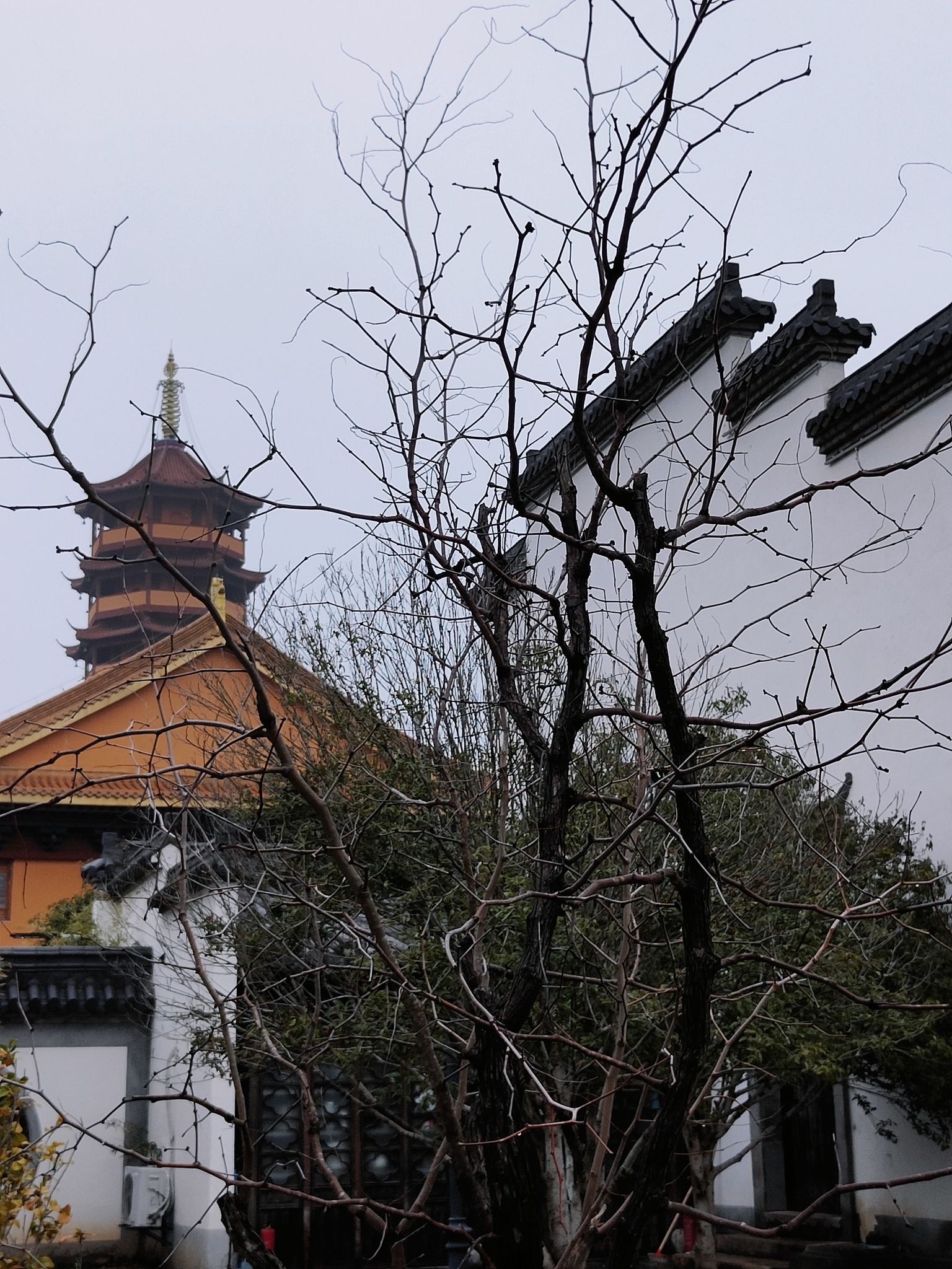 公园道旅行图片 1