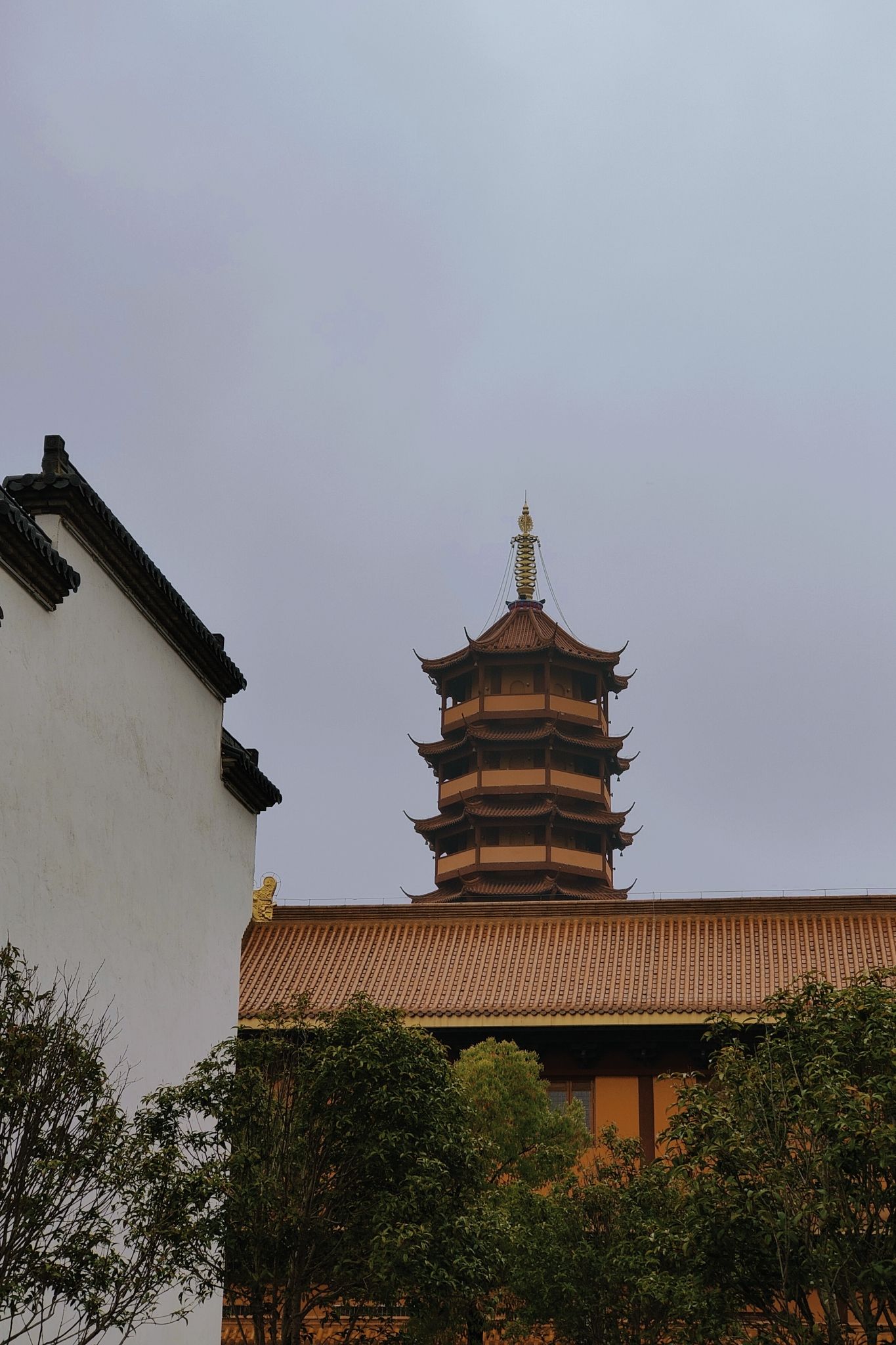 公园道旅行图片 2