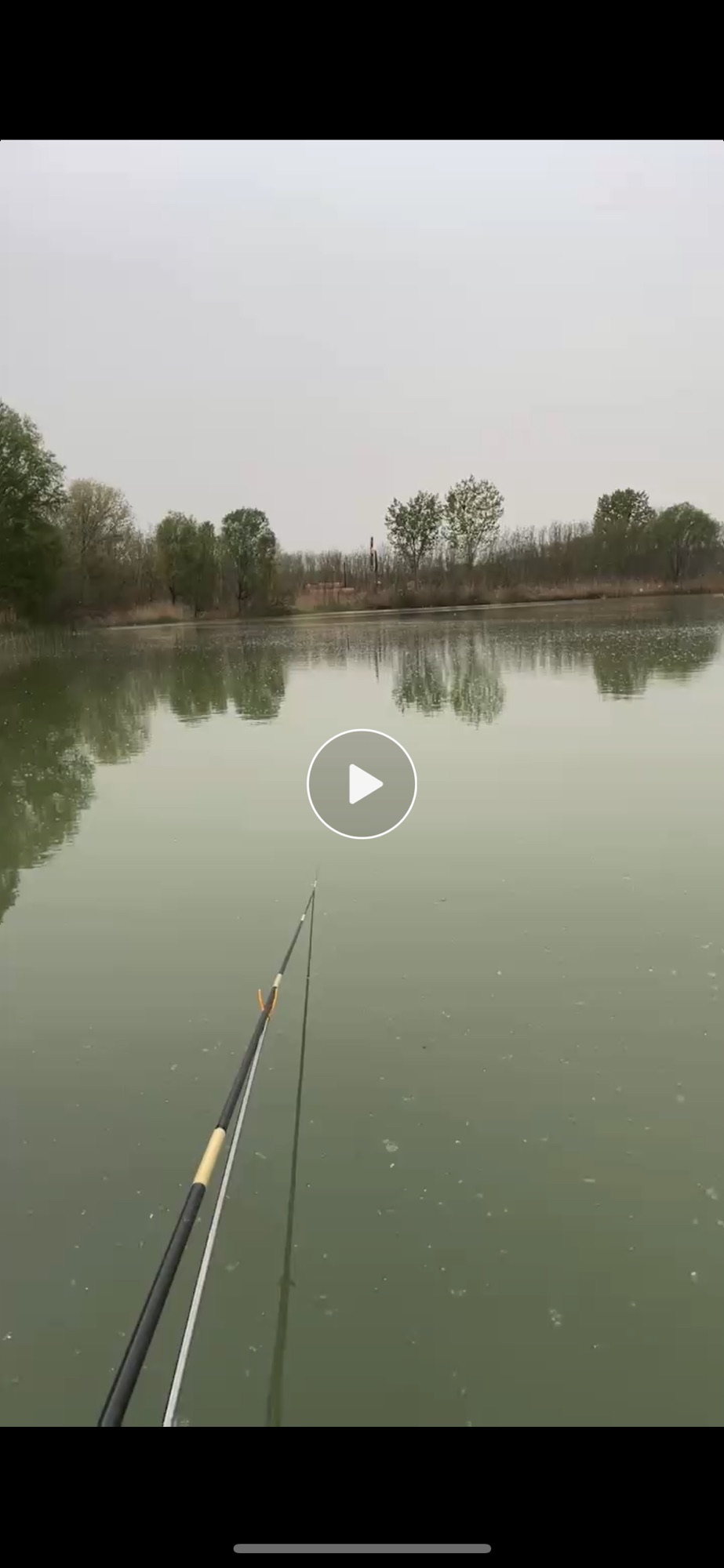 龙江湿地公园旅行图片 2