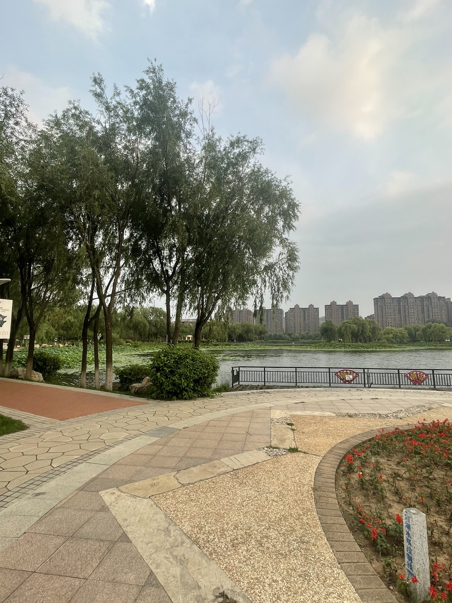 三佳湖公园旅行图片 3