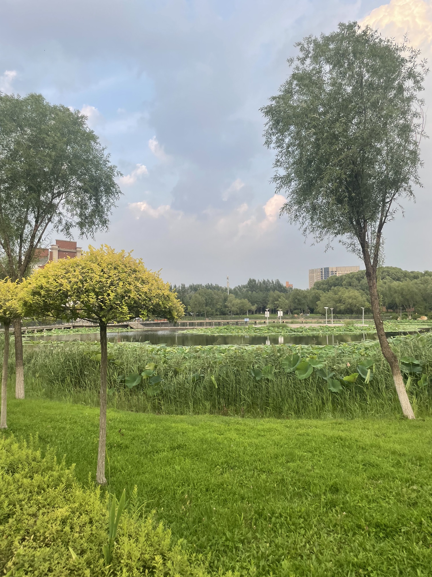三佳湖公园旅行图片 2
