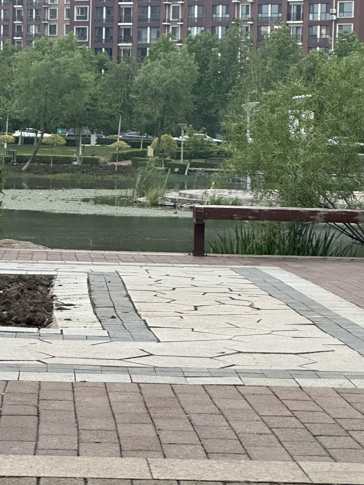 三佳湖公园旅行图片 3
