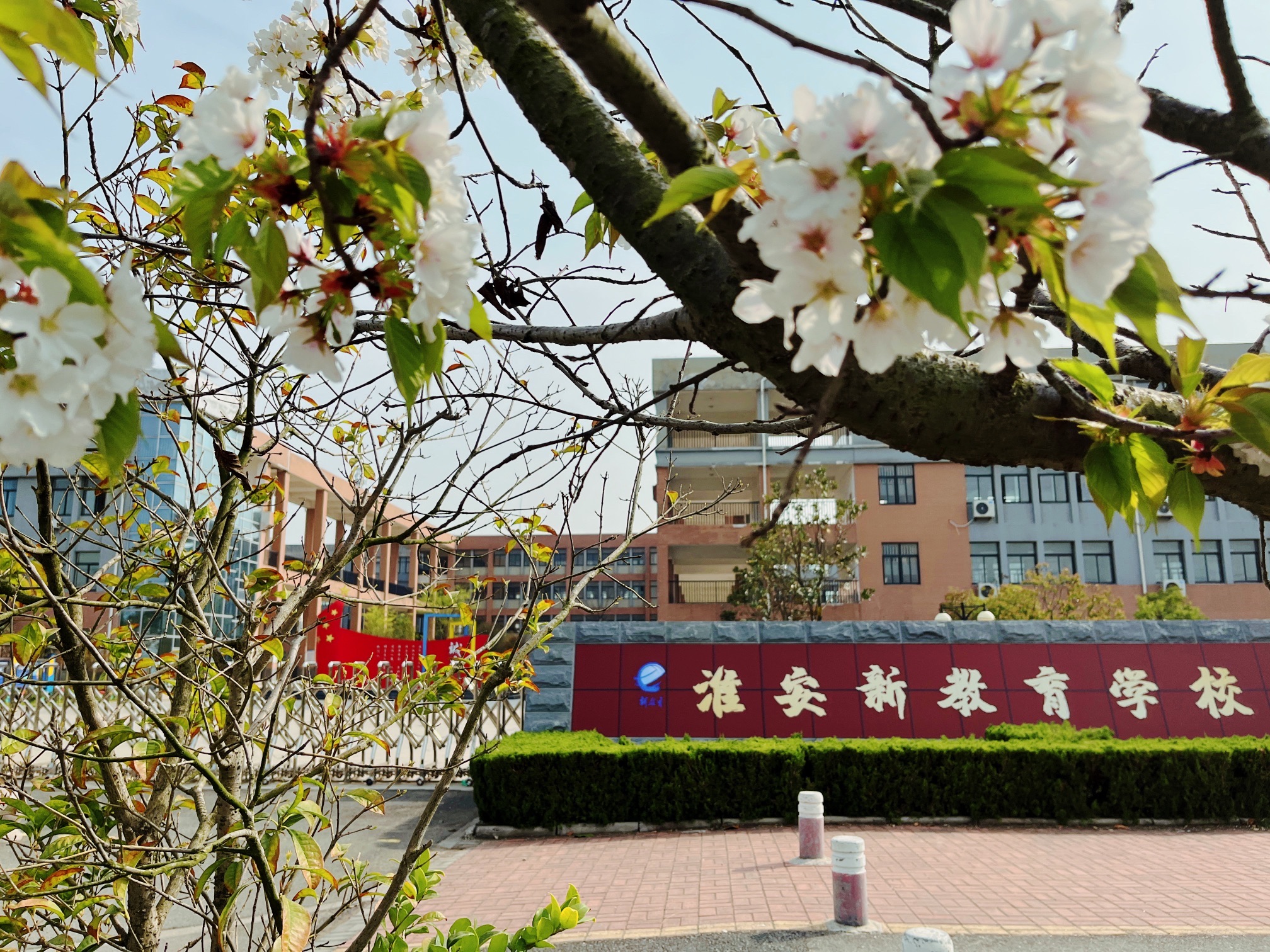 淮安新教育学校