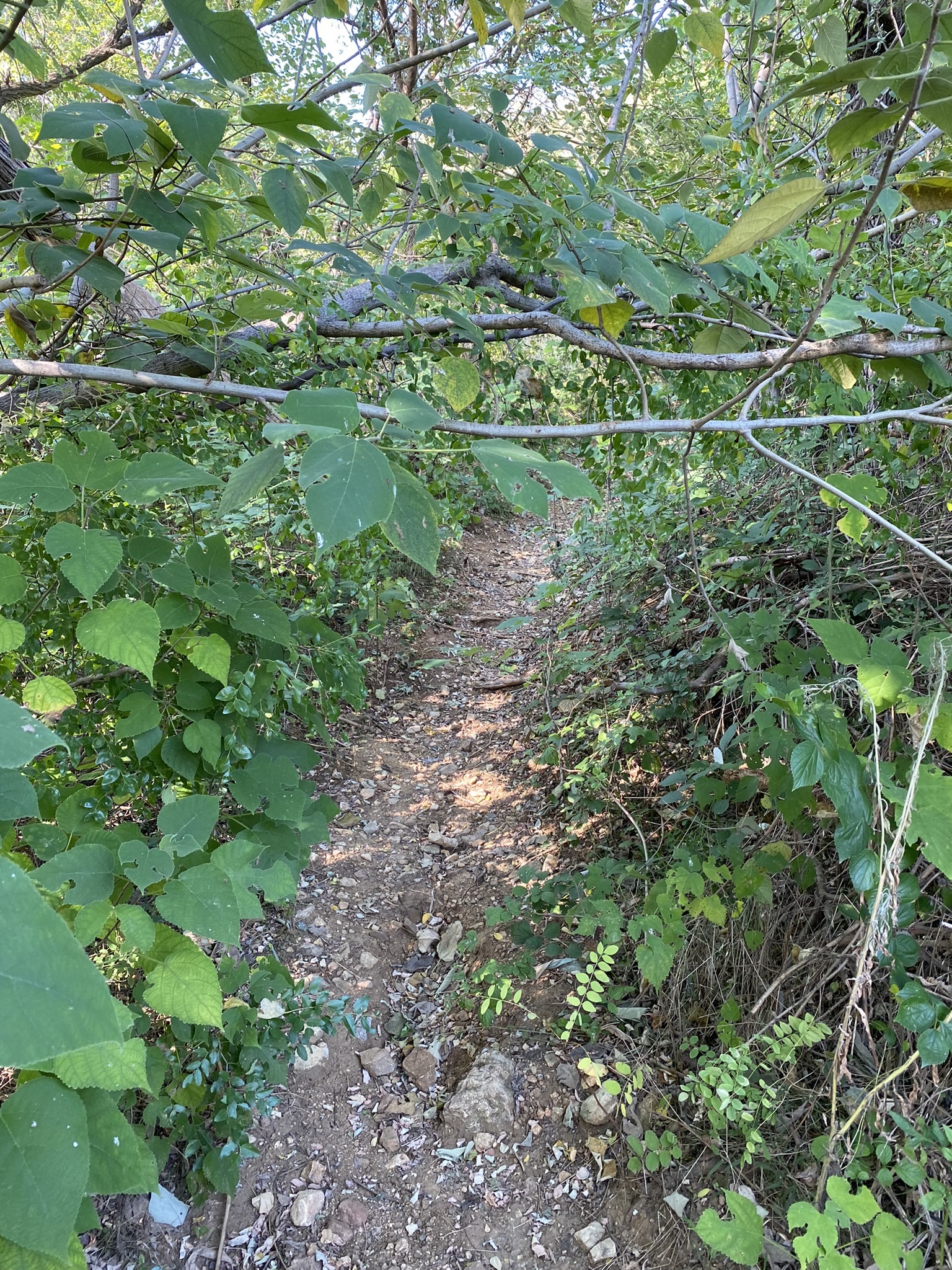 涂山风景区旅行图片 3