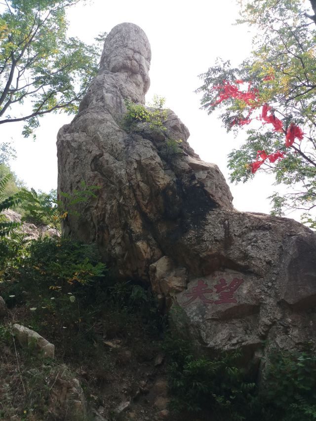 涂山风景区旅行图片 3