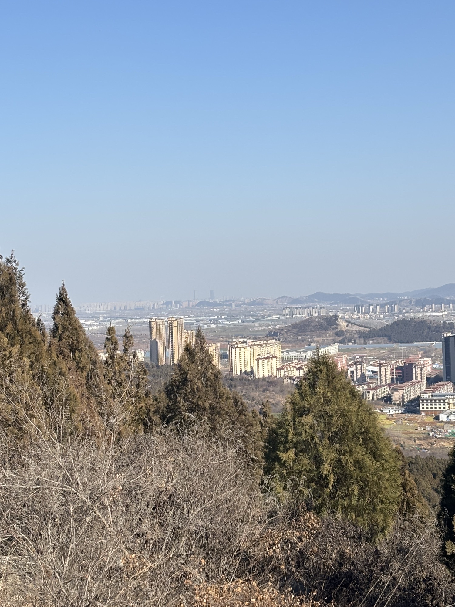 凤山森林公园旅行图片 3
