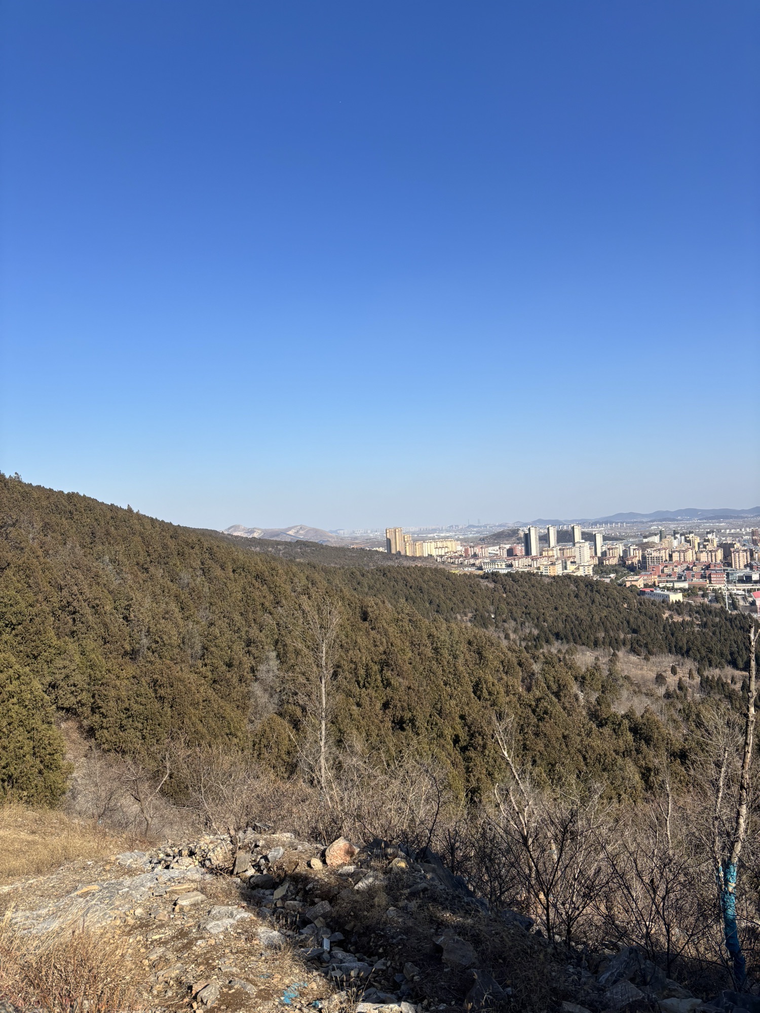 凤山森林公园旅行图片 1