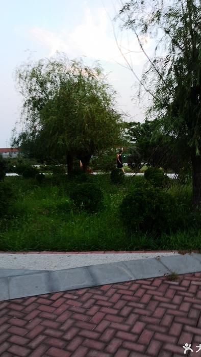 沙河公园旅行图片 3
