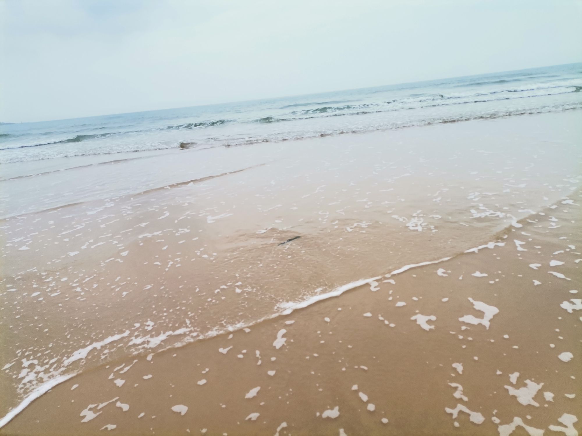 石圳海滩旅行图片 1