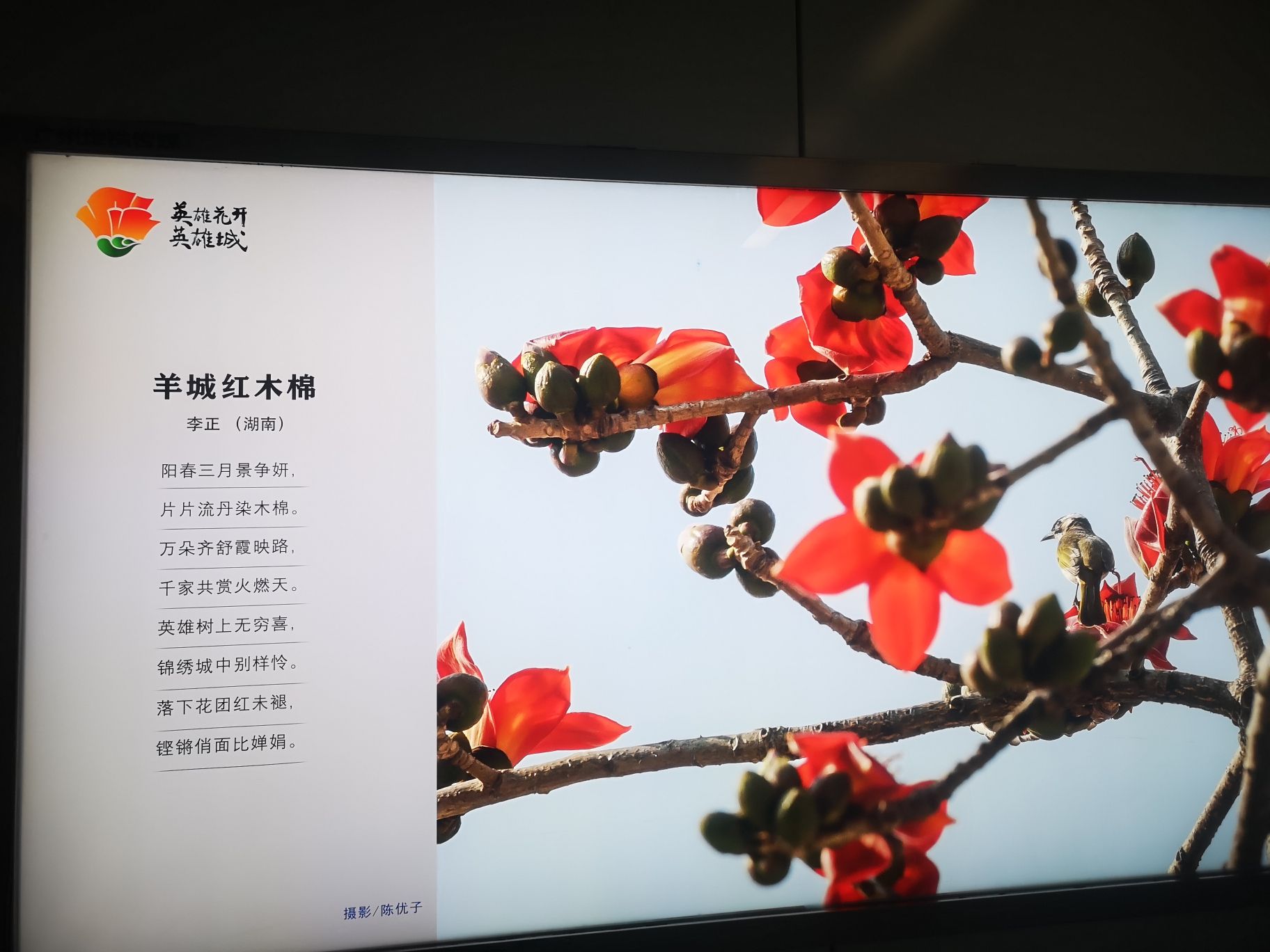 安平公园旅行图片 3