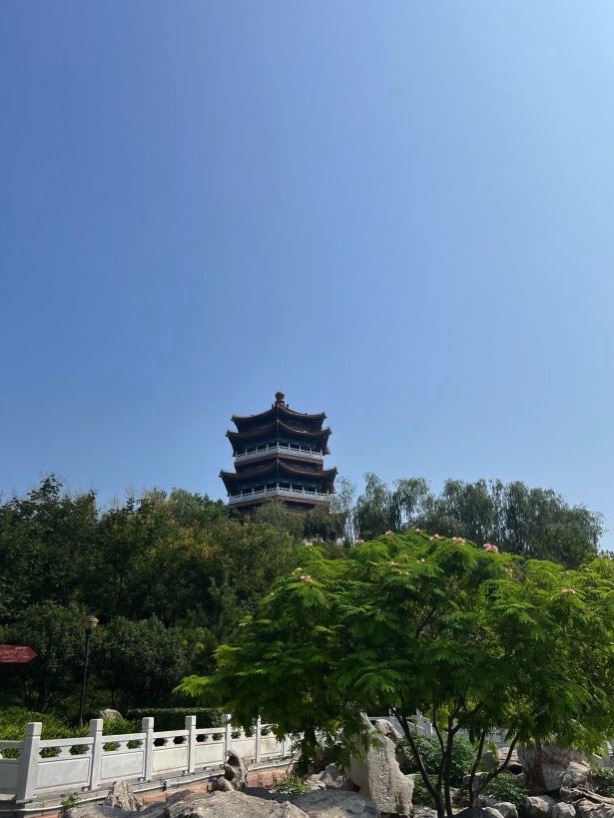 金山公园旅行图片 3